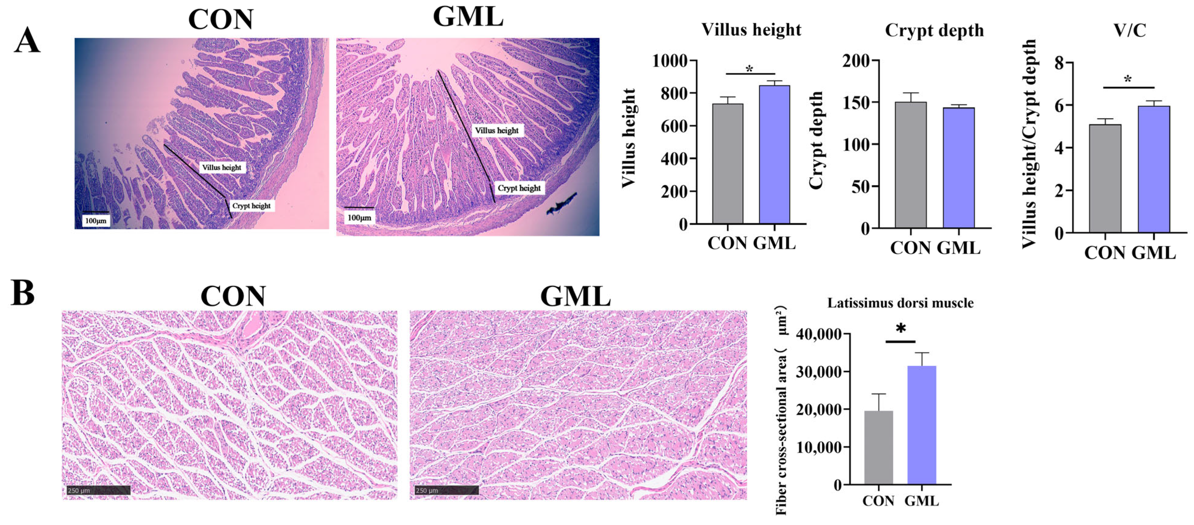Antioxidants 14 00783 g001