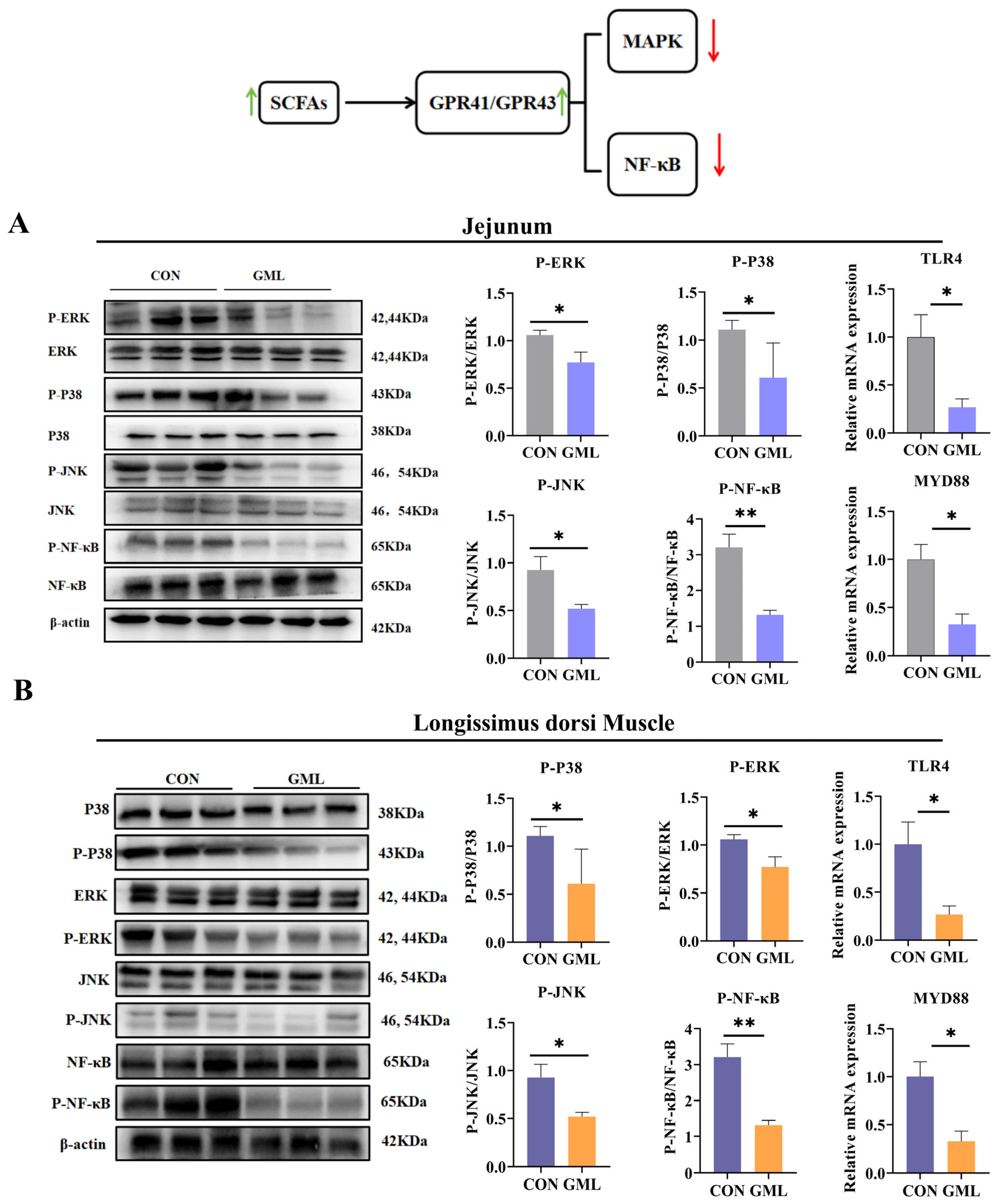Antioxidants 14 00783 g009