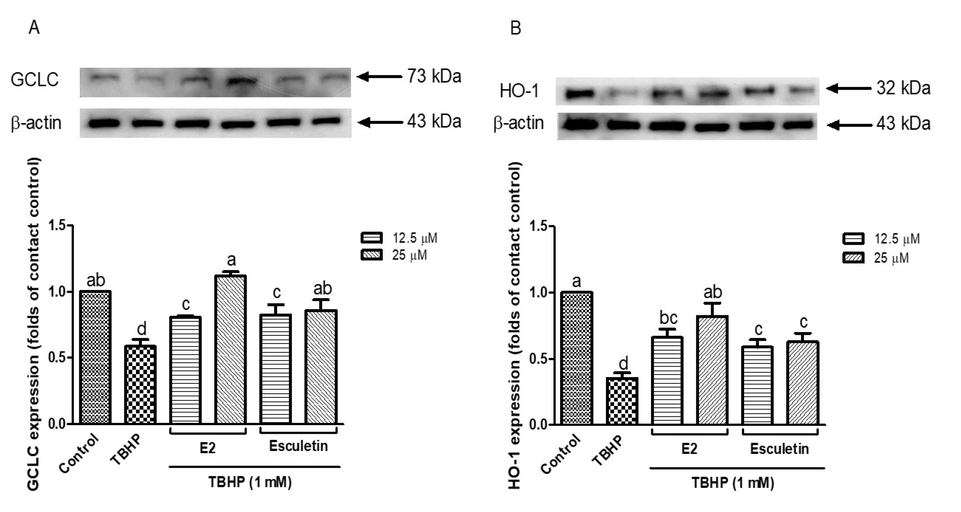 Antioxidants 14 00787 g004