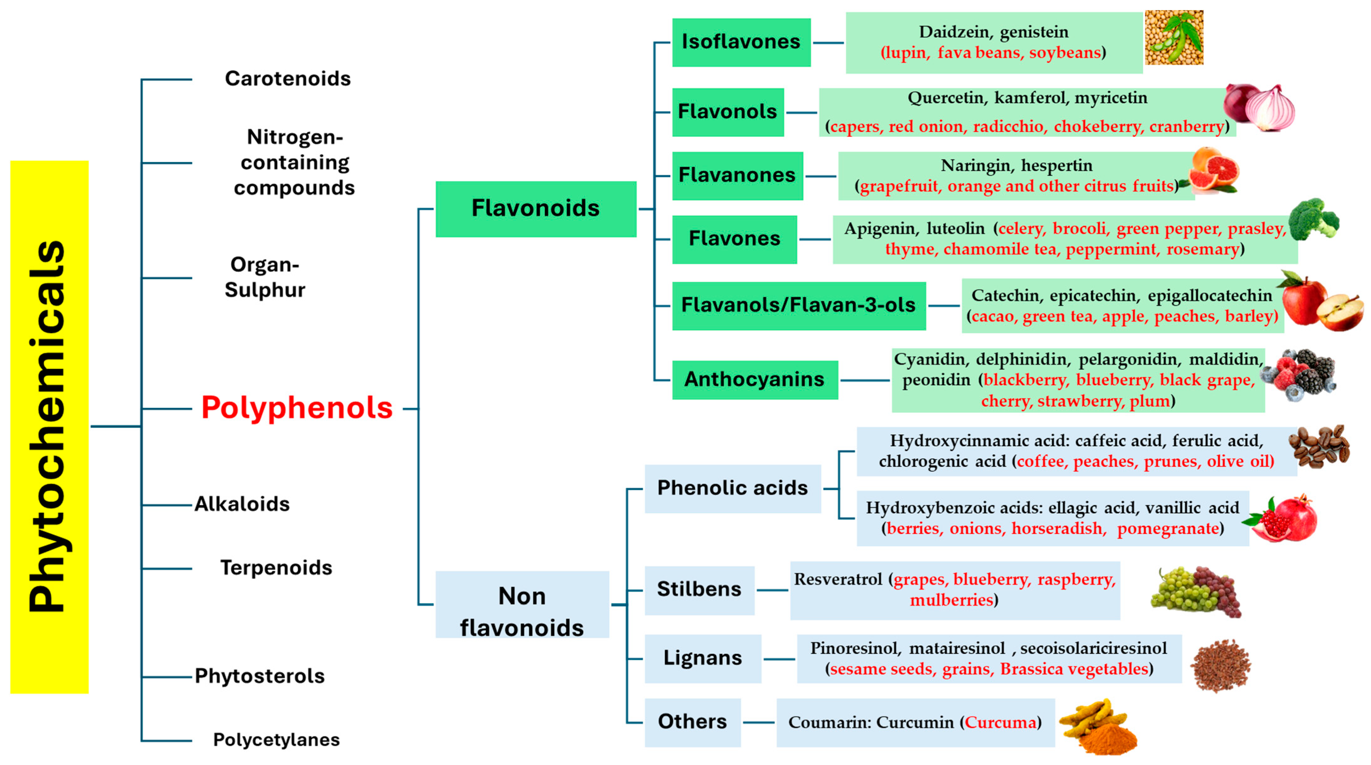 Antioxidants 14 00789 g001 Antioxidants 14 00789 g001