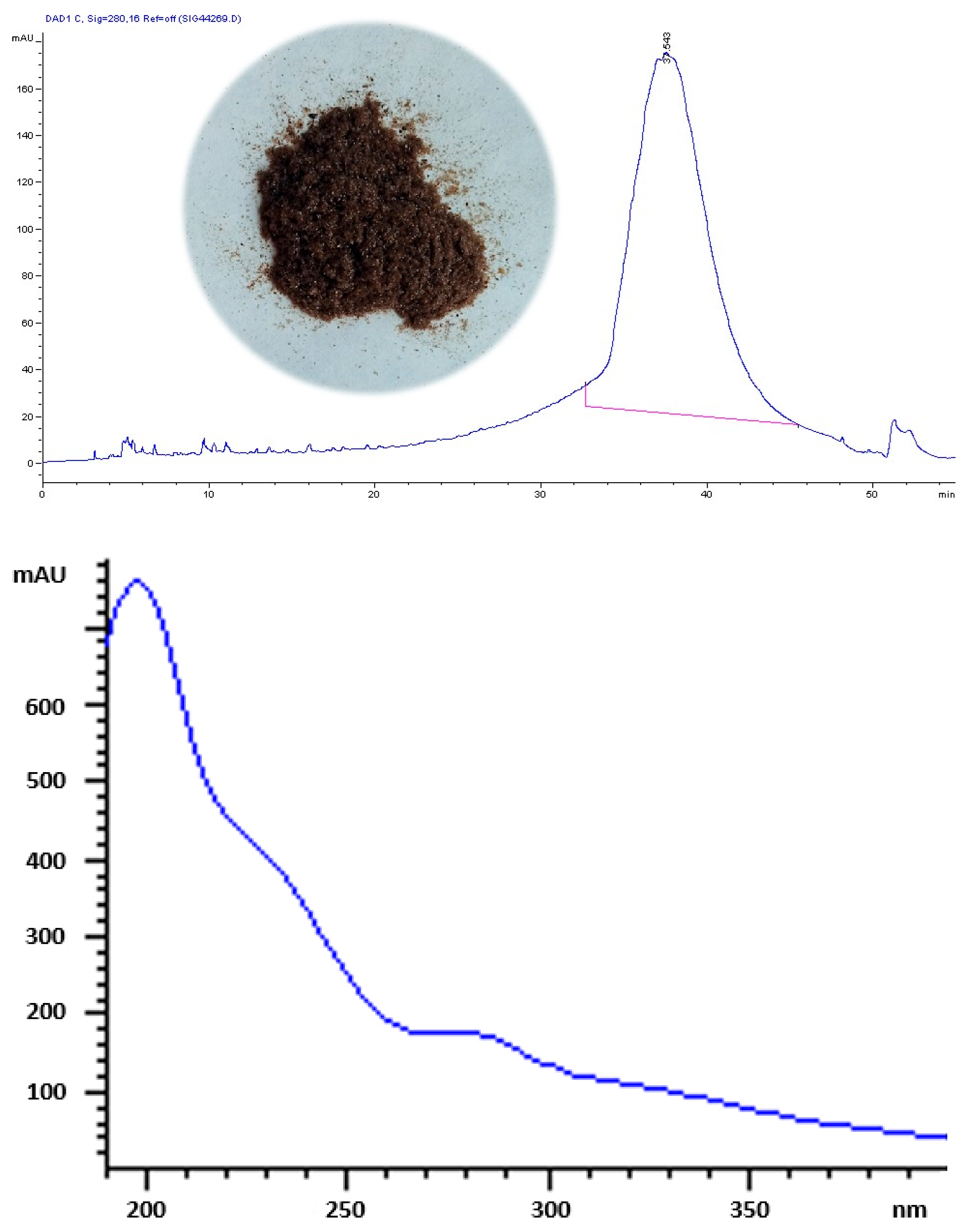 Antioxidants 14 00791 g001