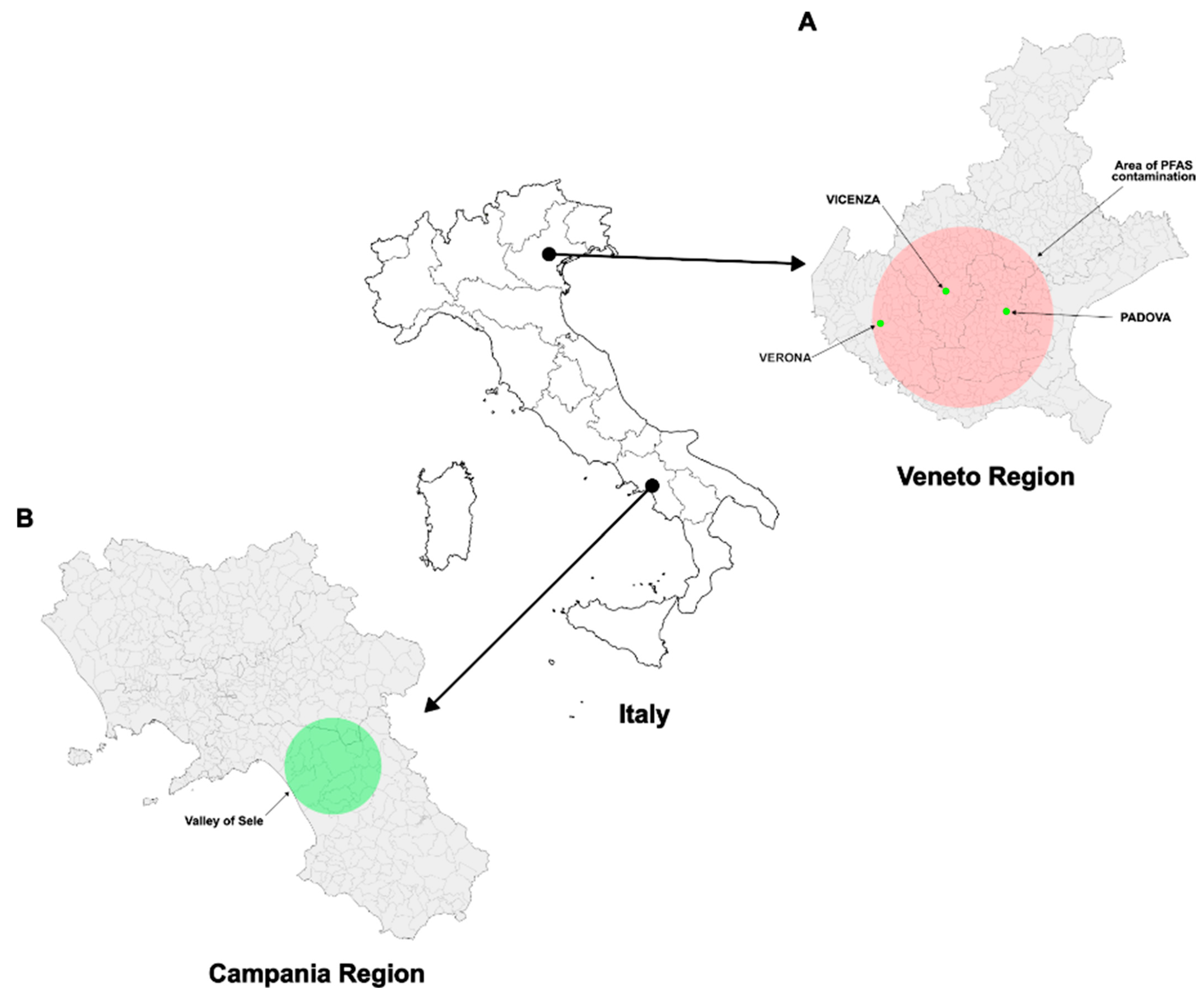 Antioxidants 14 00792 g001