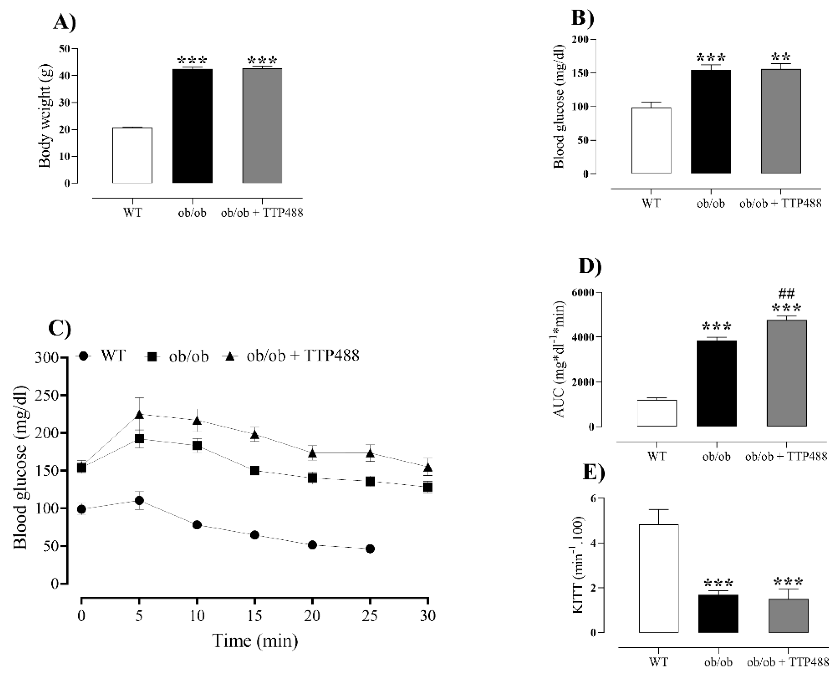 Antioxidants 14 00793 g001