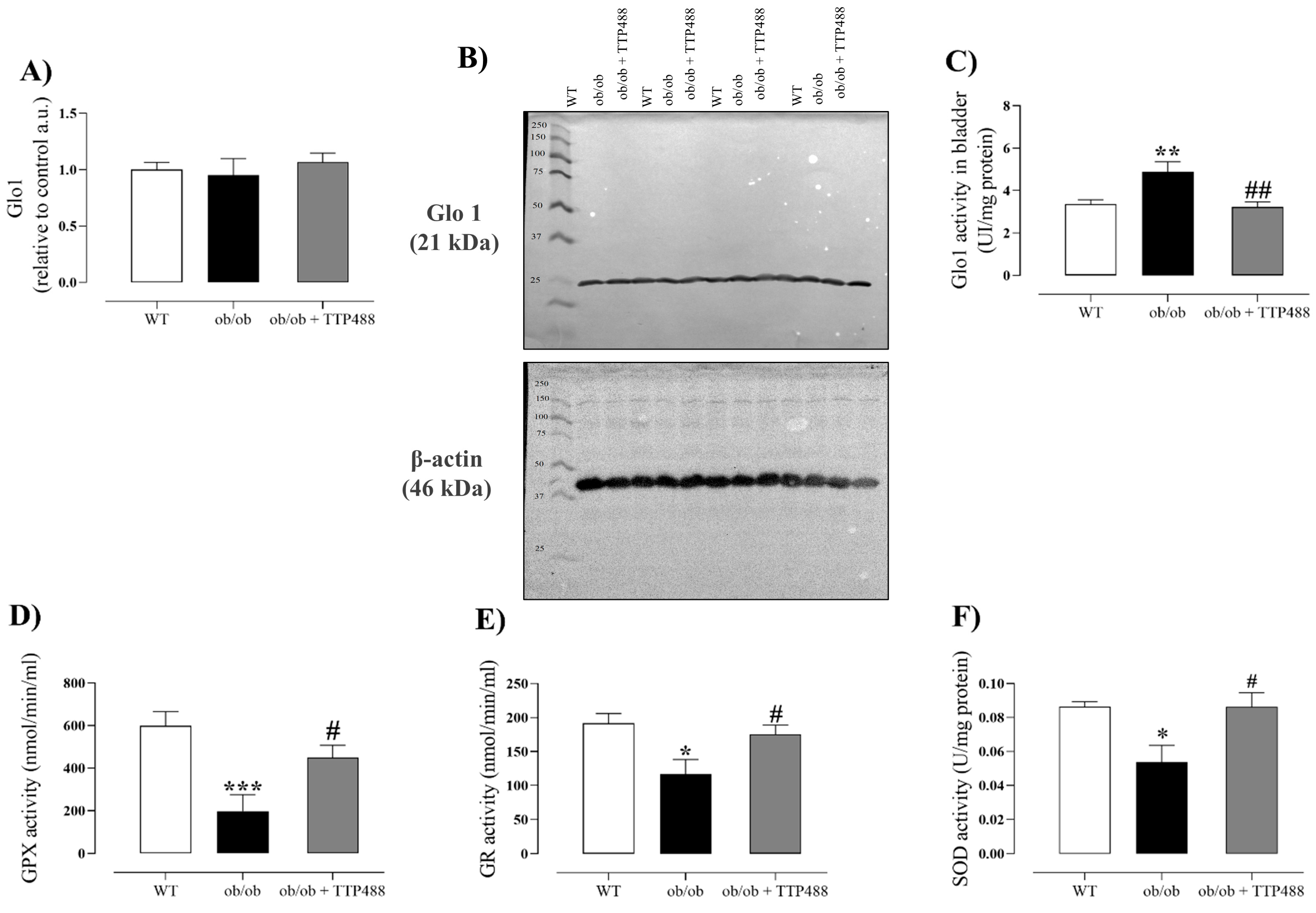 Antioxidants 14 00793 g004