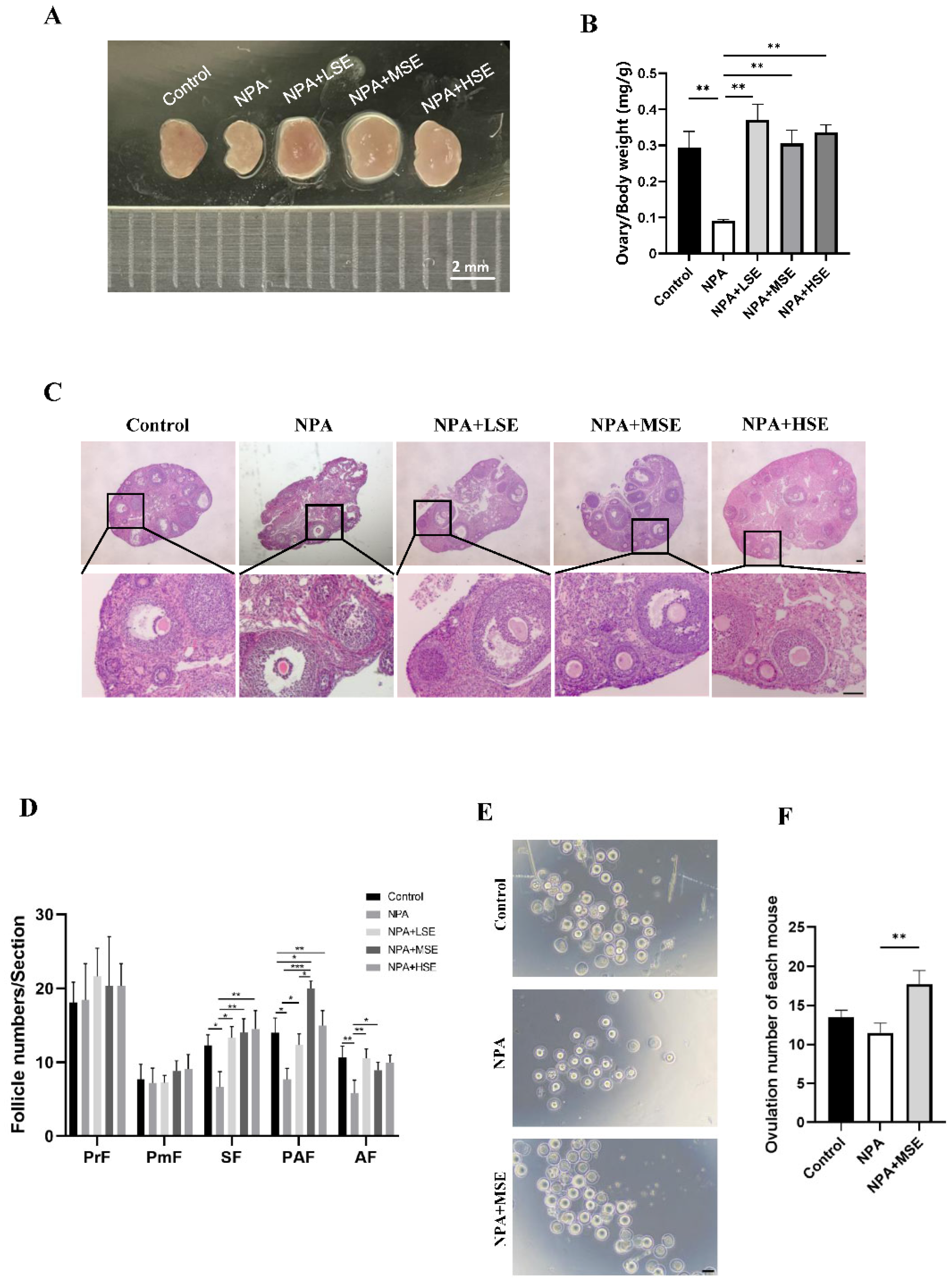 Antioxidants 14 00794 g001