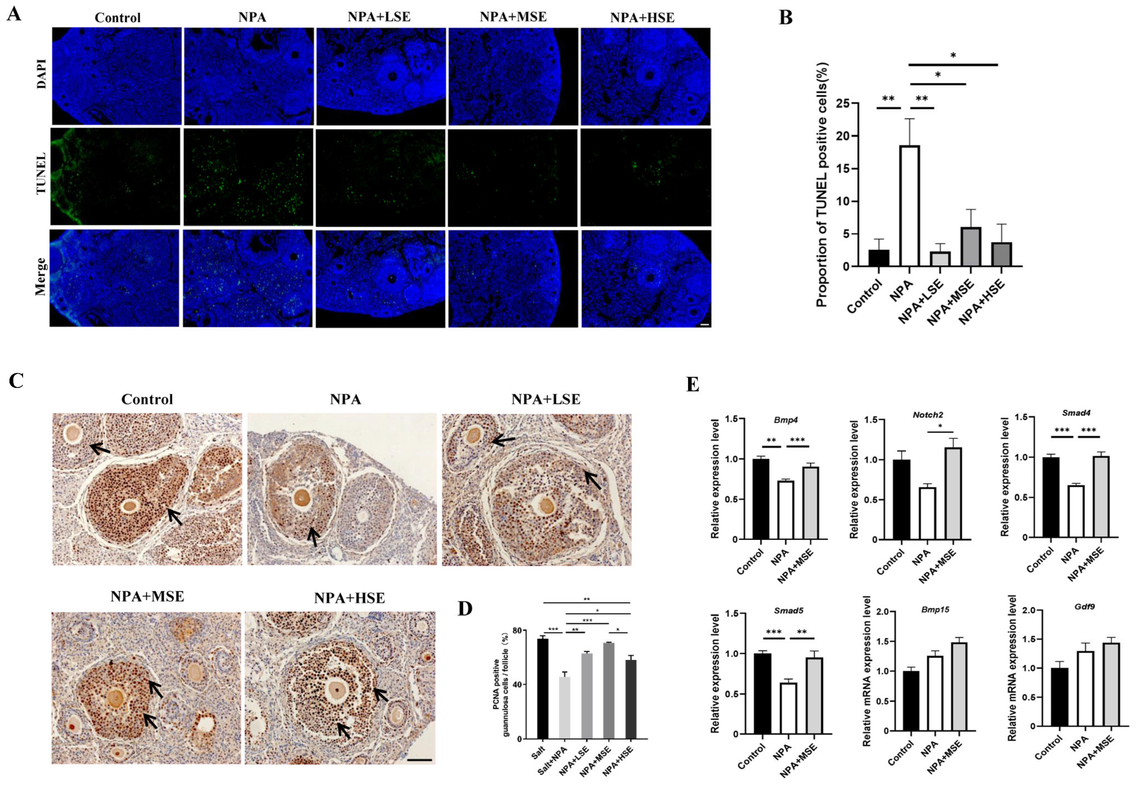 Antioxidants 14 00794 g002