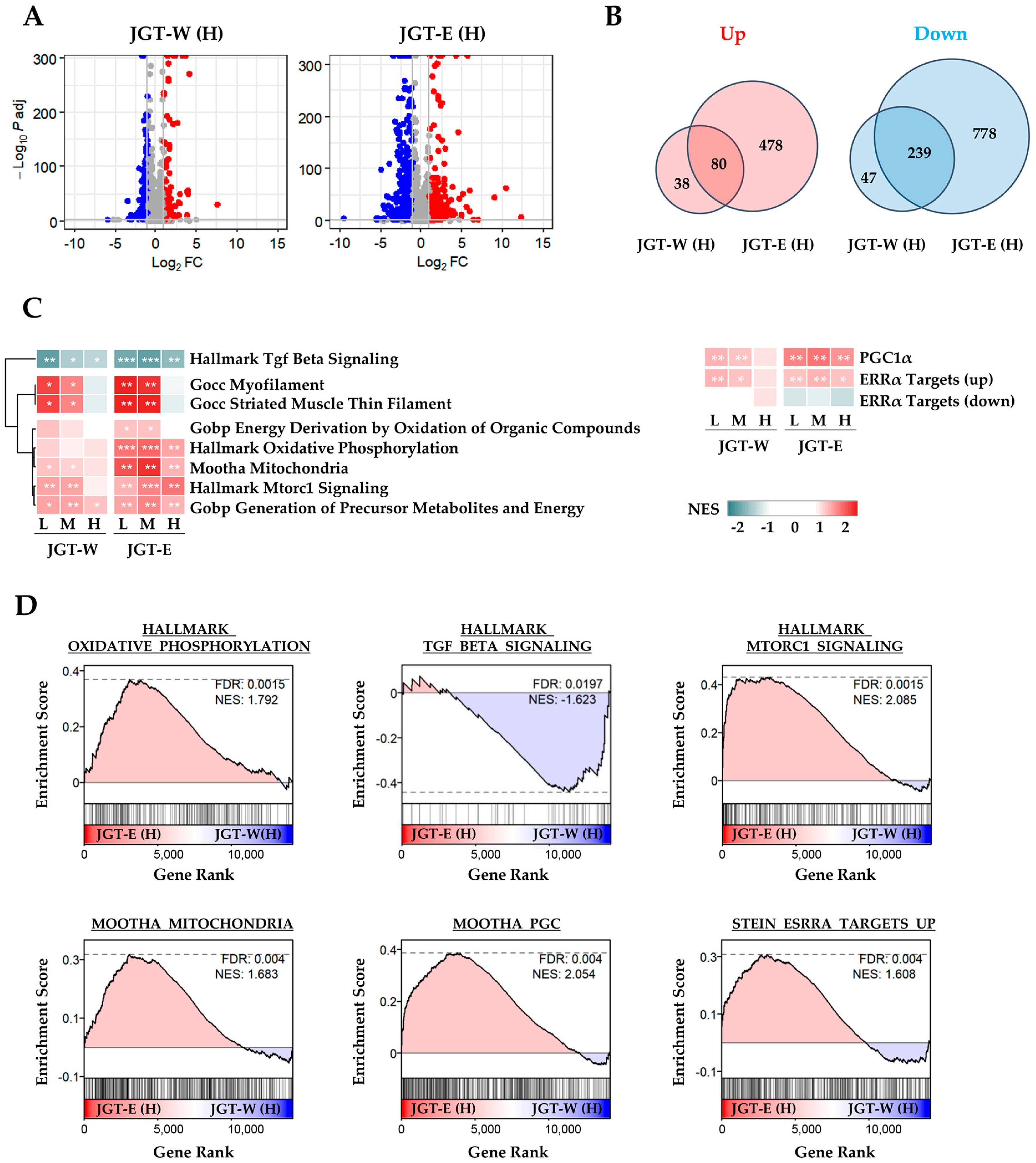Antioxidants 14 00795 g001
