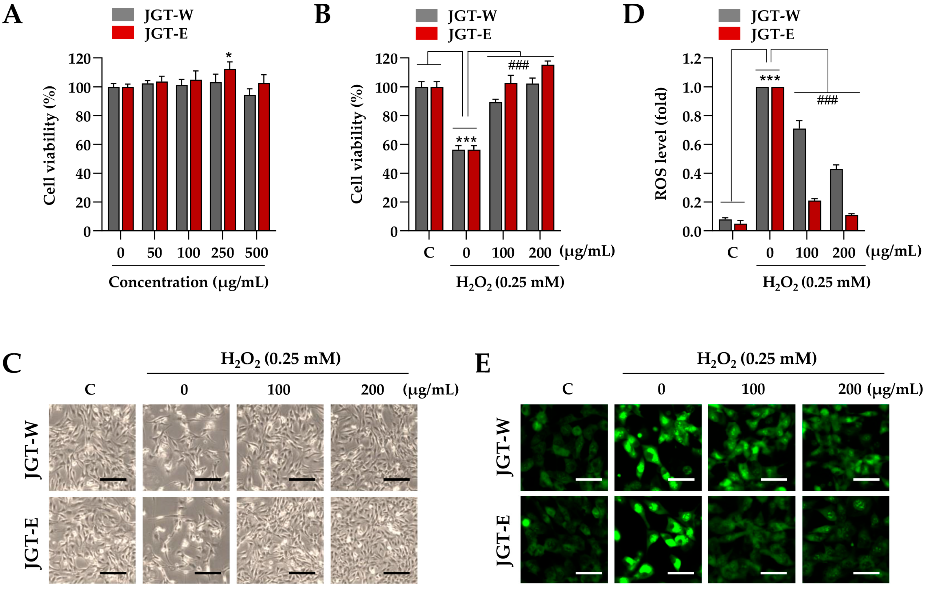 Antioxidants 14 00795 g002