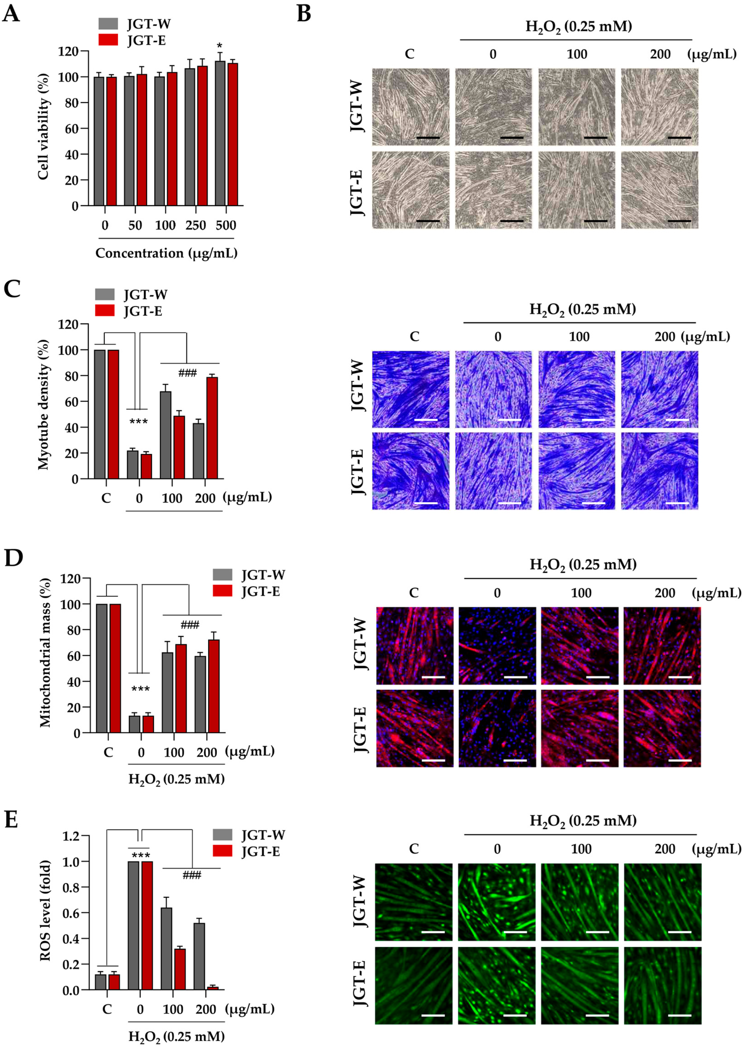 Antioxidants 14 00795 g003