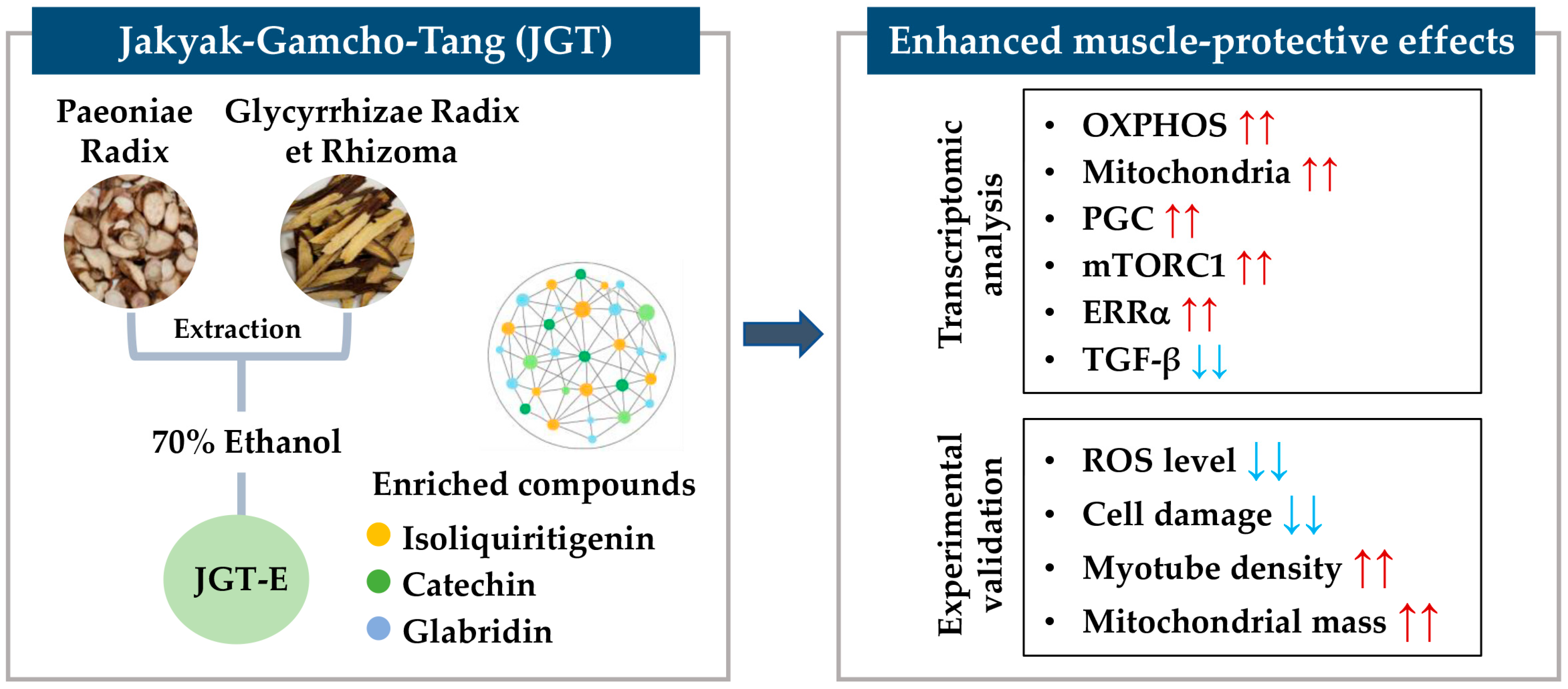 Antioxidants 14 00795 g007