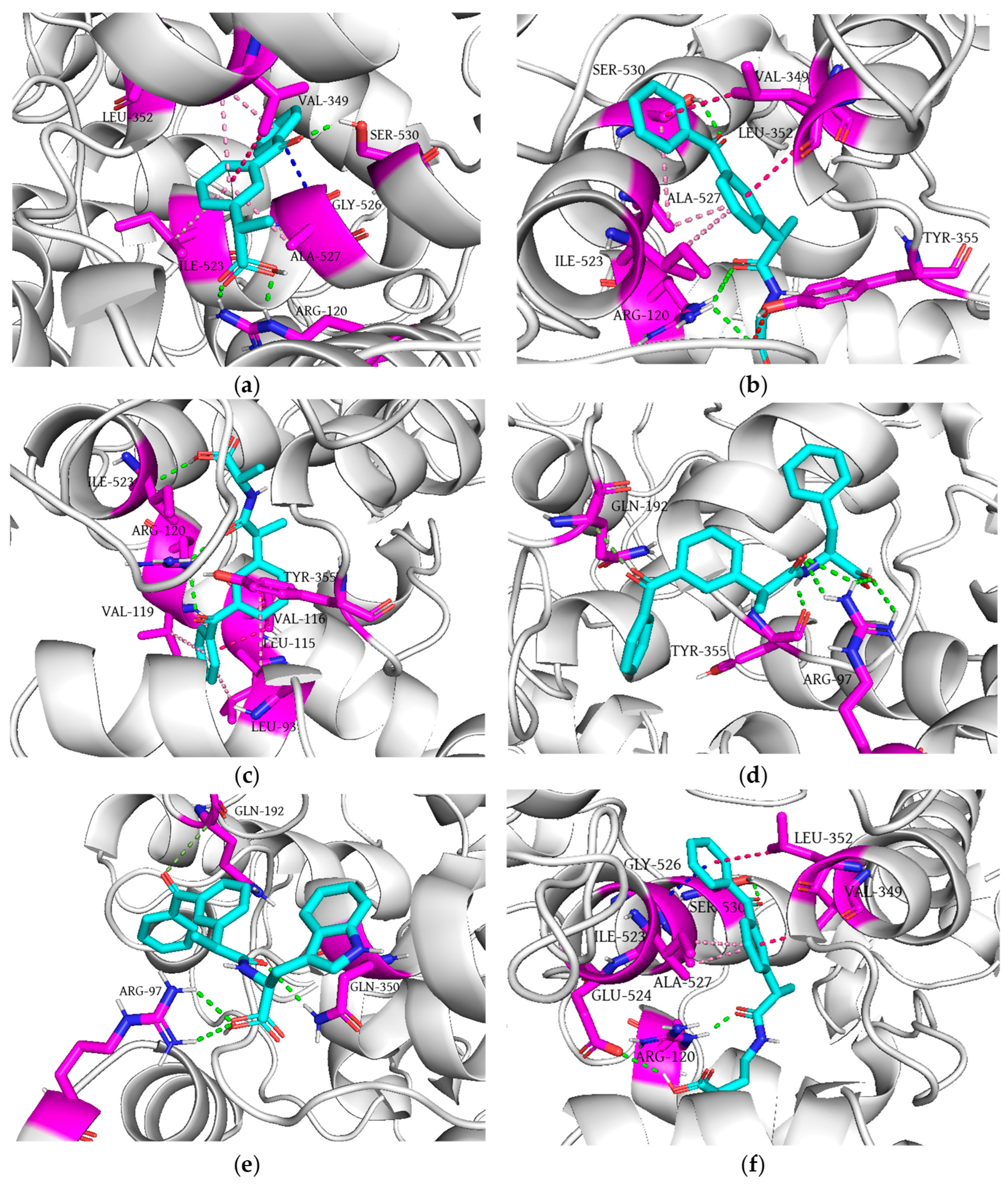 Antioxidants 14 00796 g008