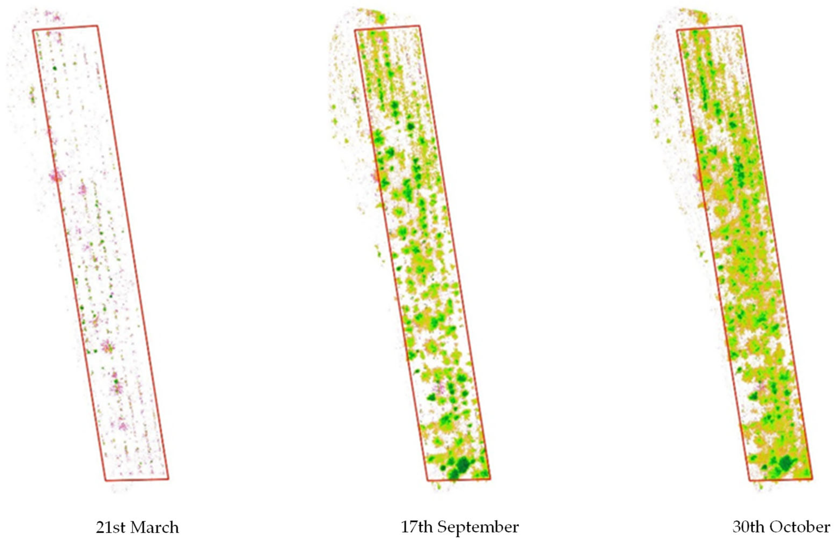 Antioxidants 14 00799 g002