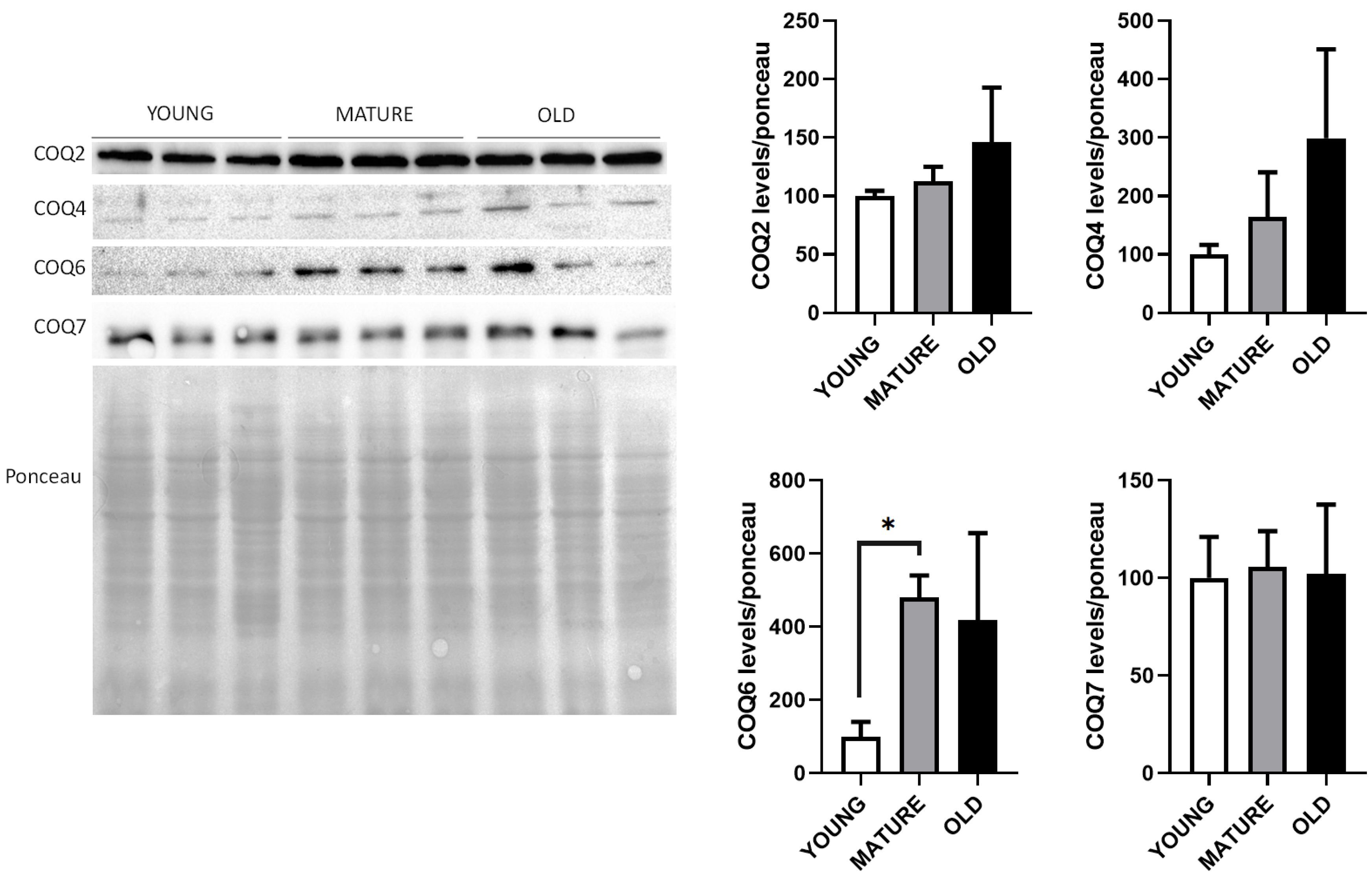 Antioxidants 14 00800 g005
