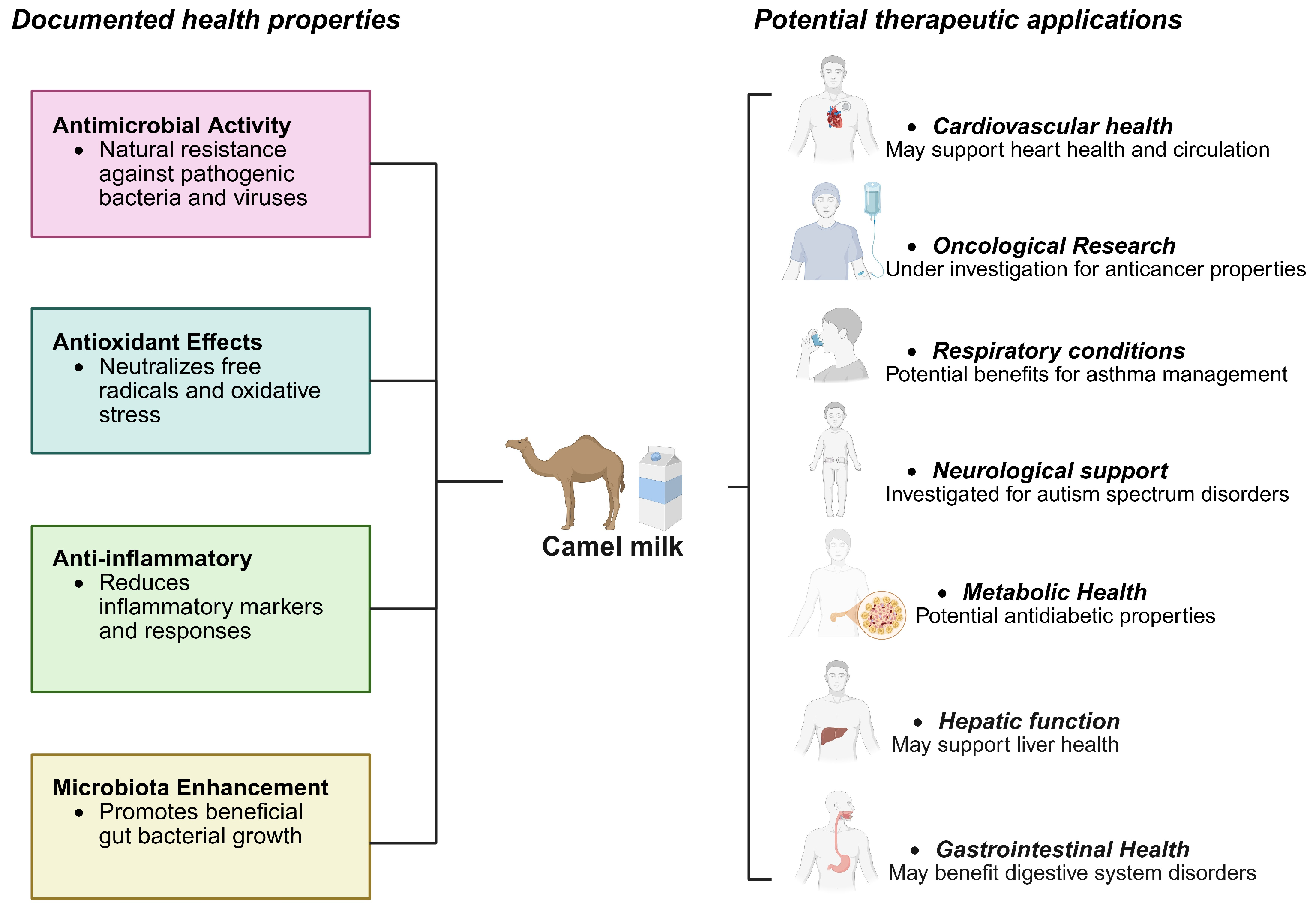 Antioxidants 14 00801 g004