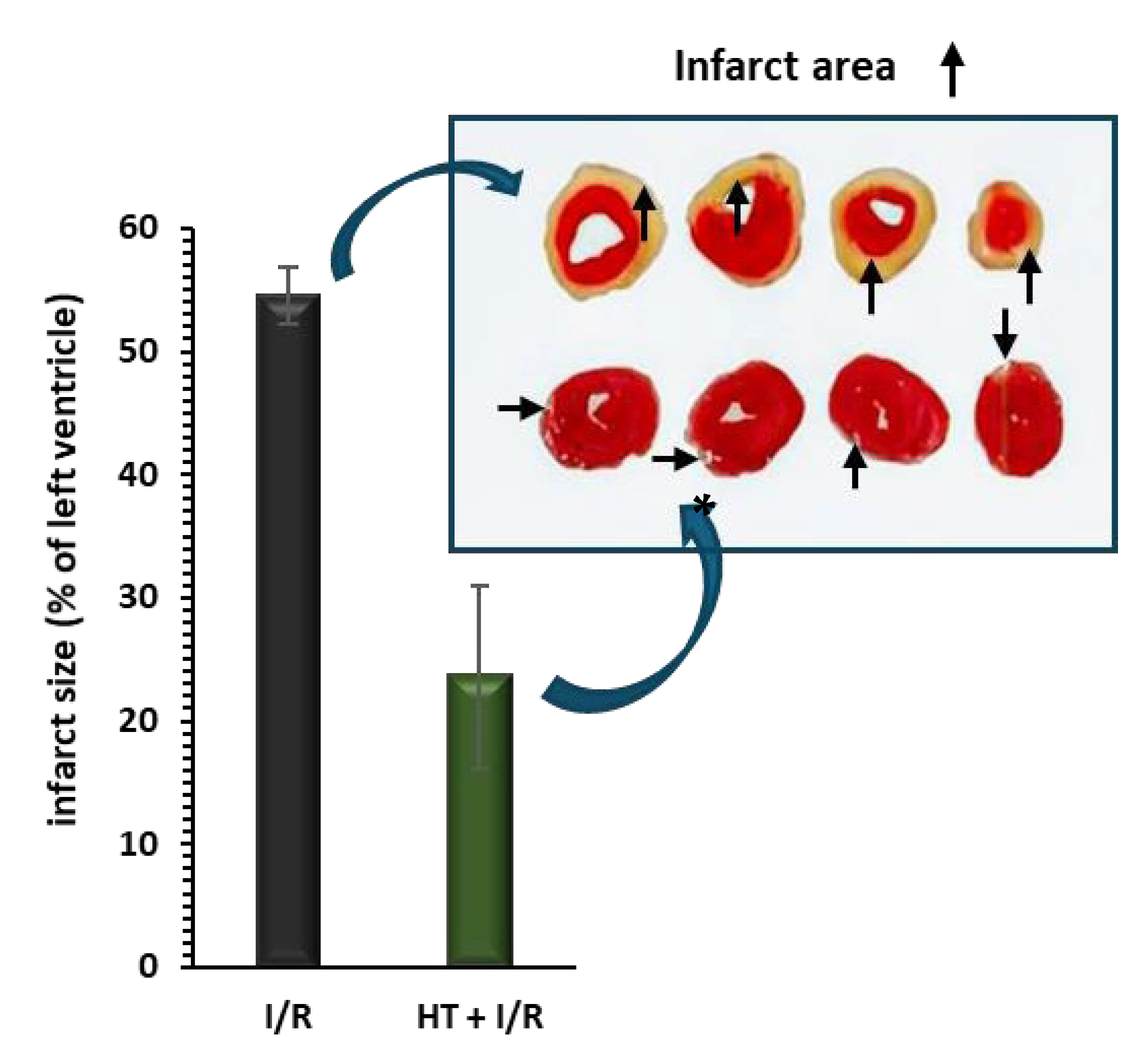 Antioxidants 14 00803 g002