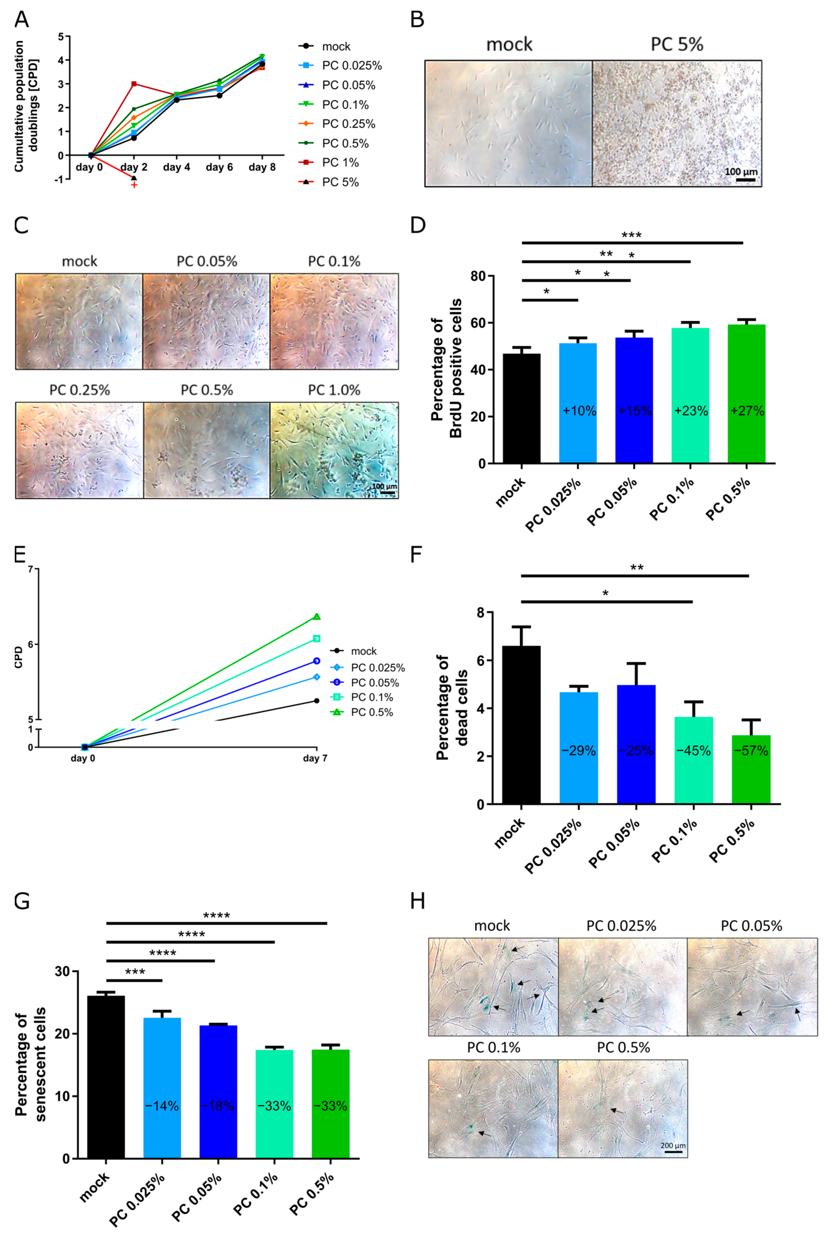 Antioxidants 14 00804 g001