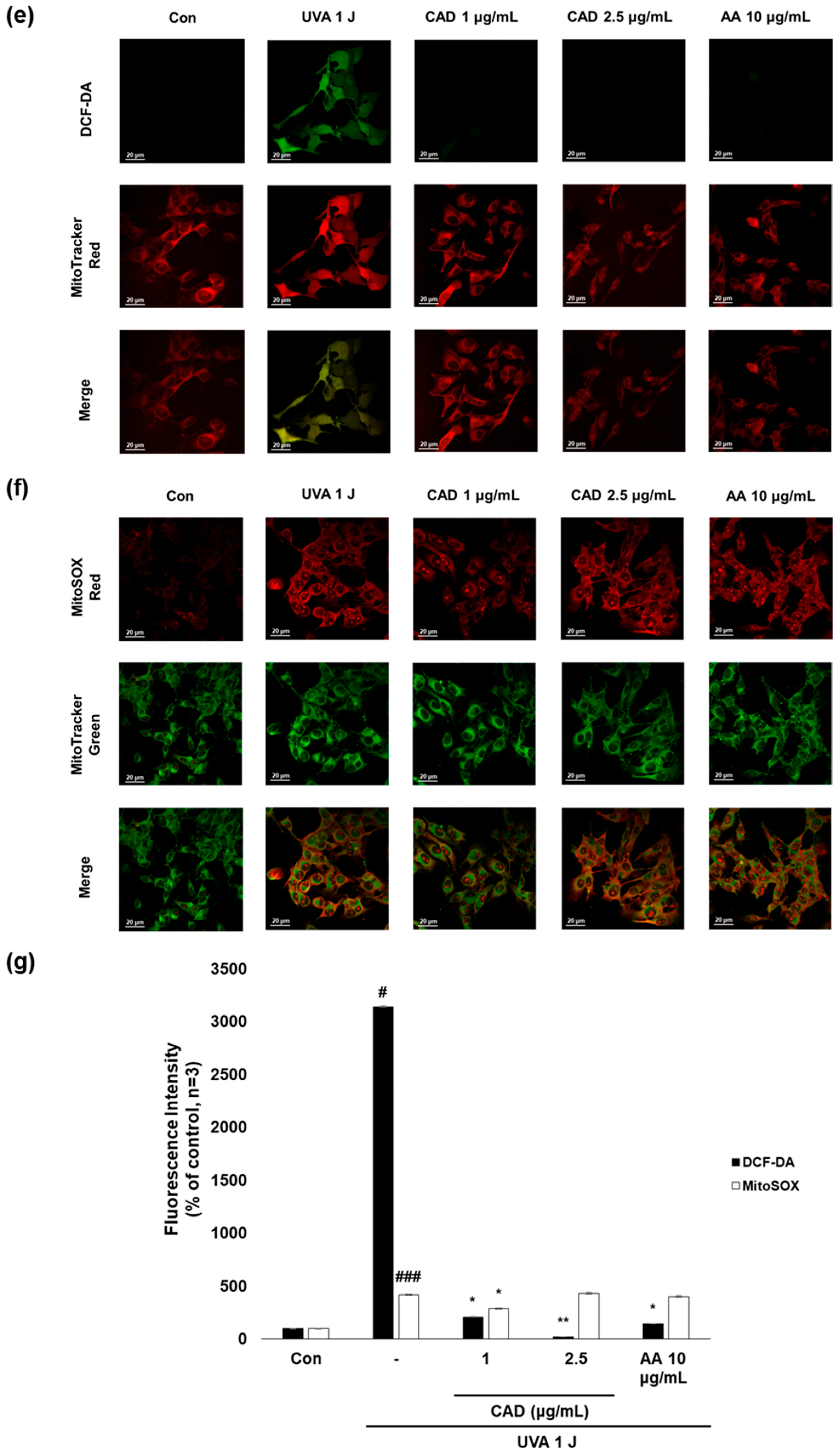 Antioxidants 14 00806 g003b