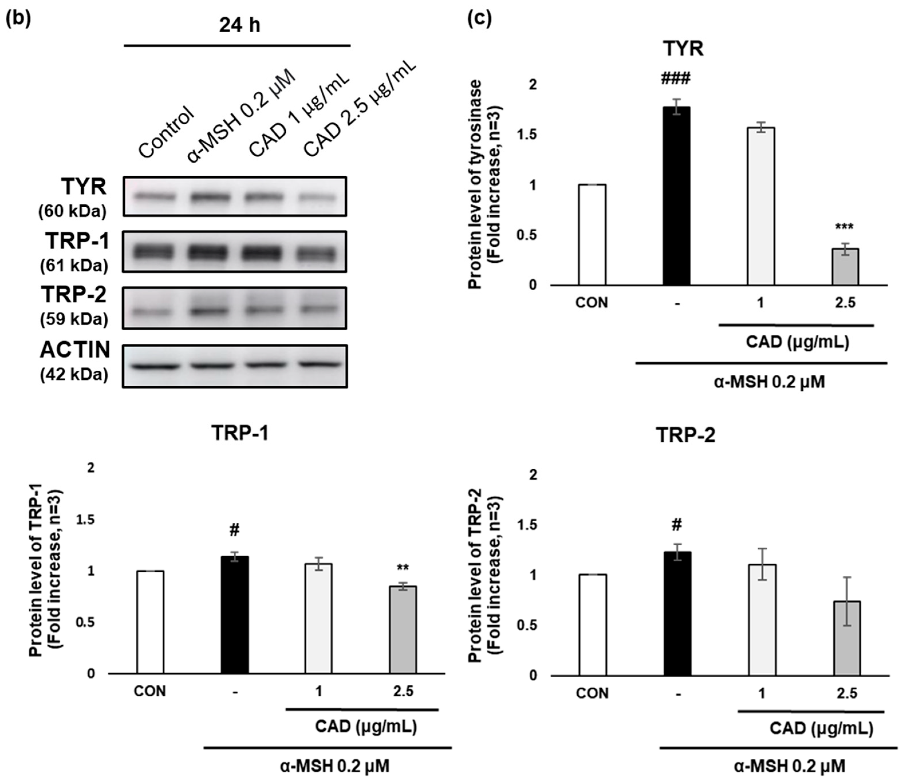Antioxidants 14 00806 g004b