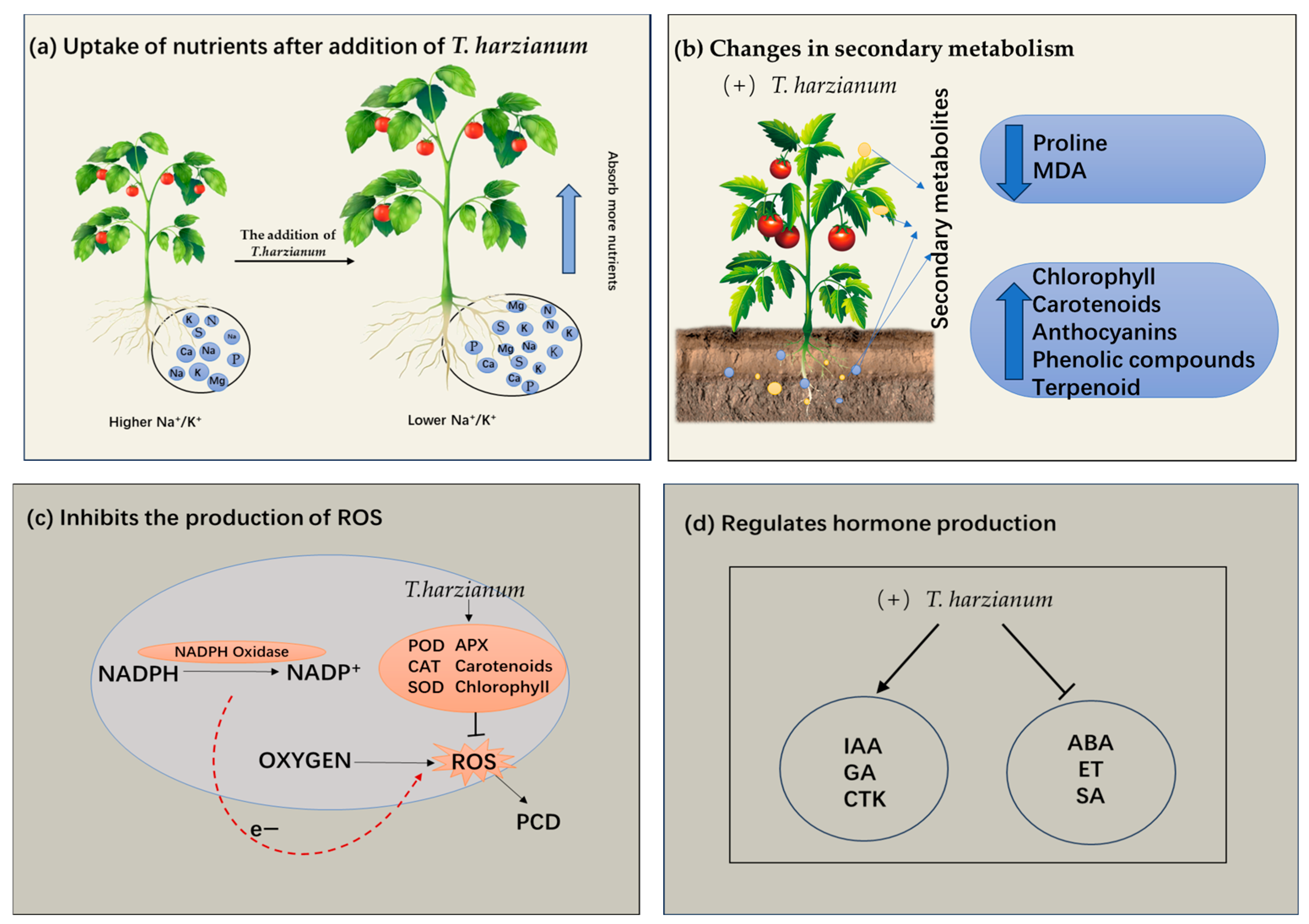 Antioxidants 14 00807 g001