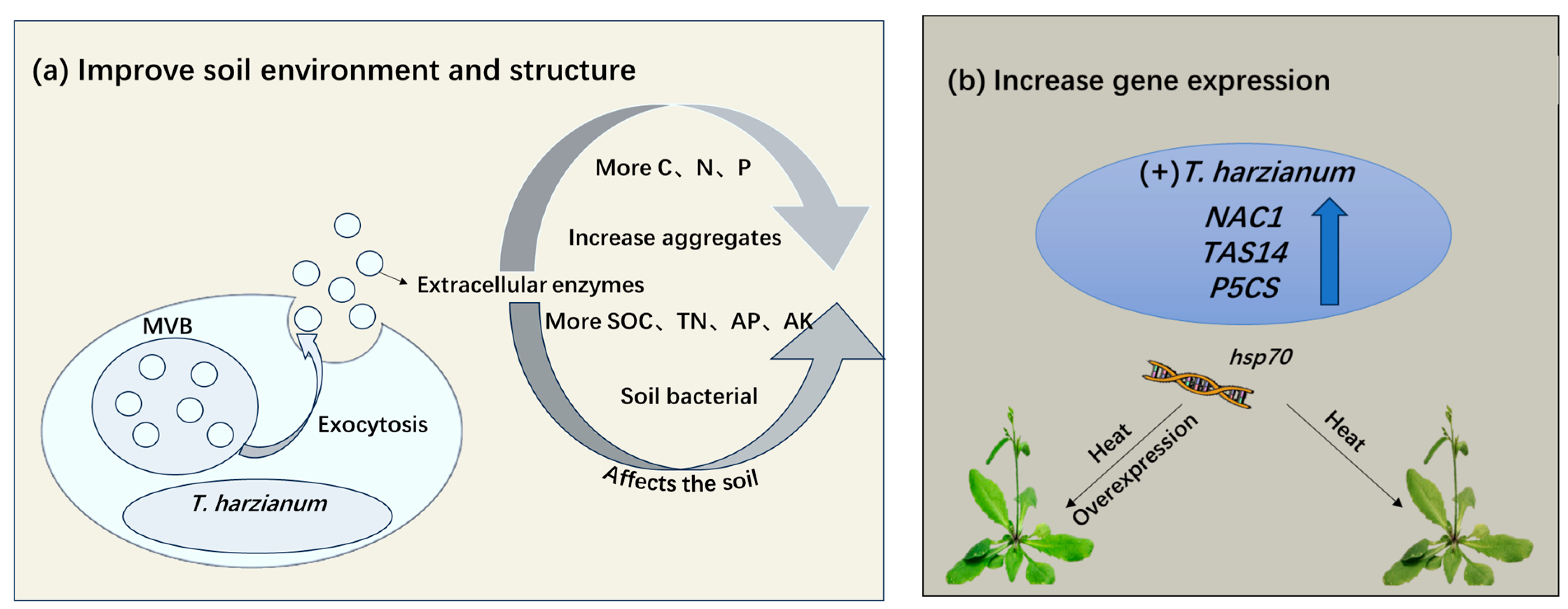Antioxidants 14 00807 g002