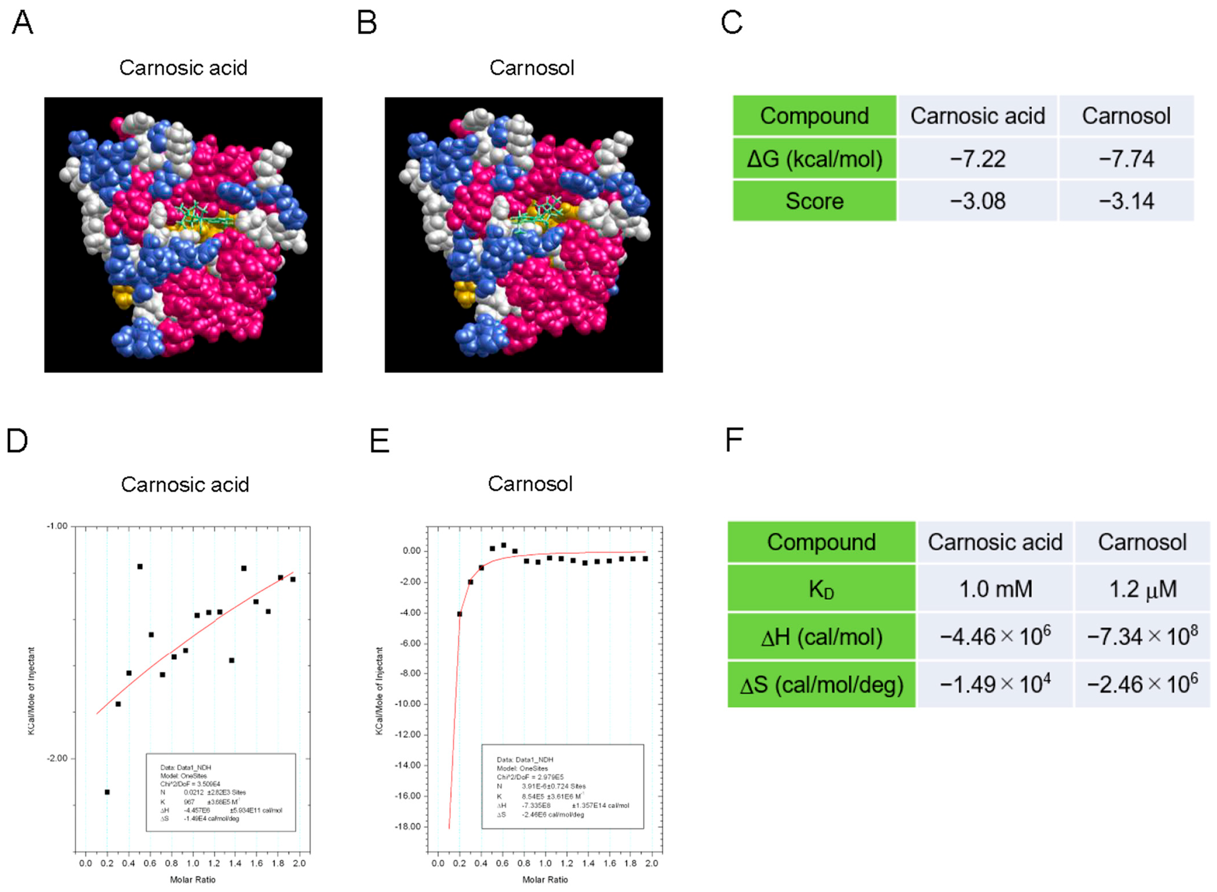 Antioxidants 14 00808 g002