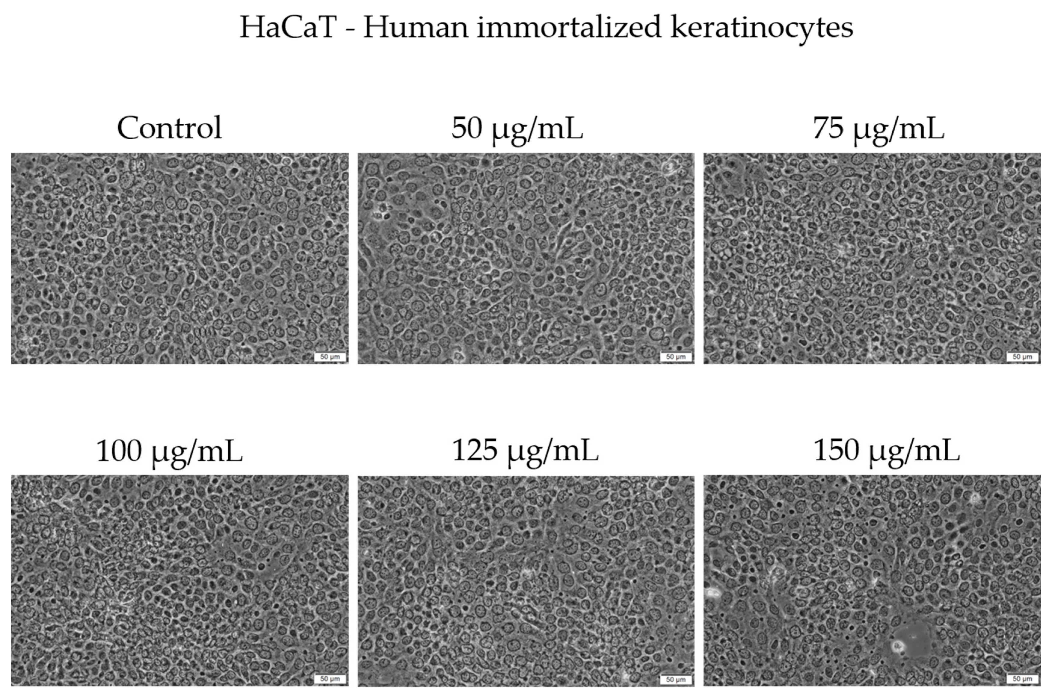 Antioxidants 14 00810 g004