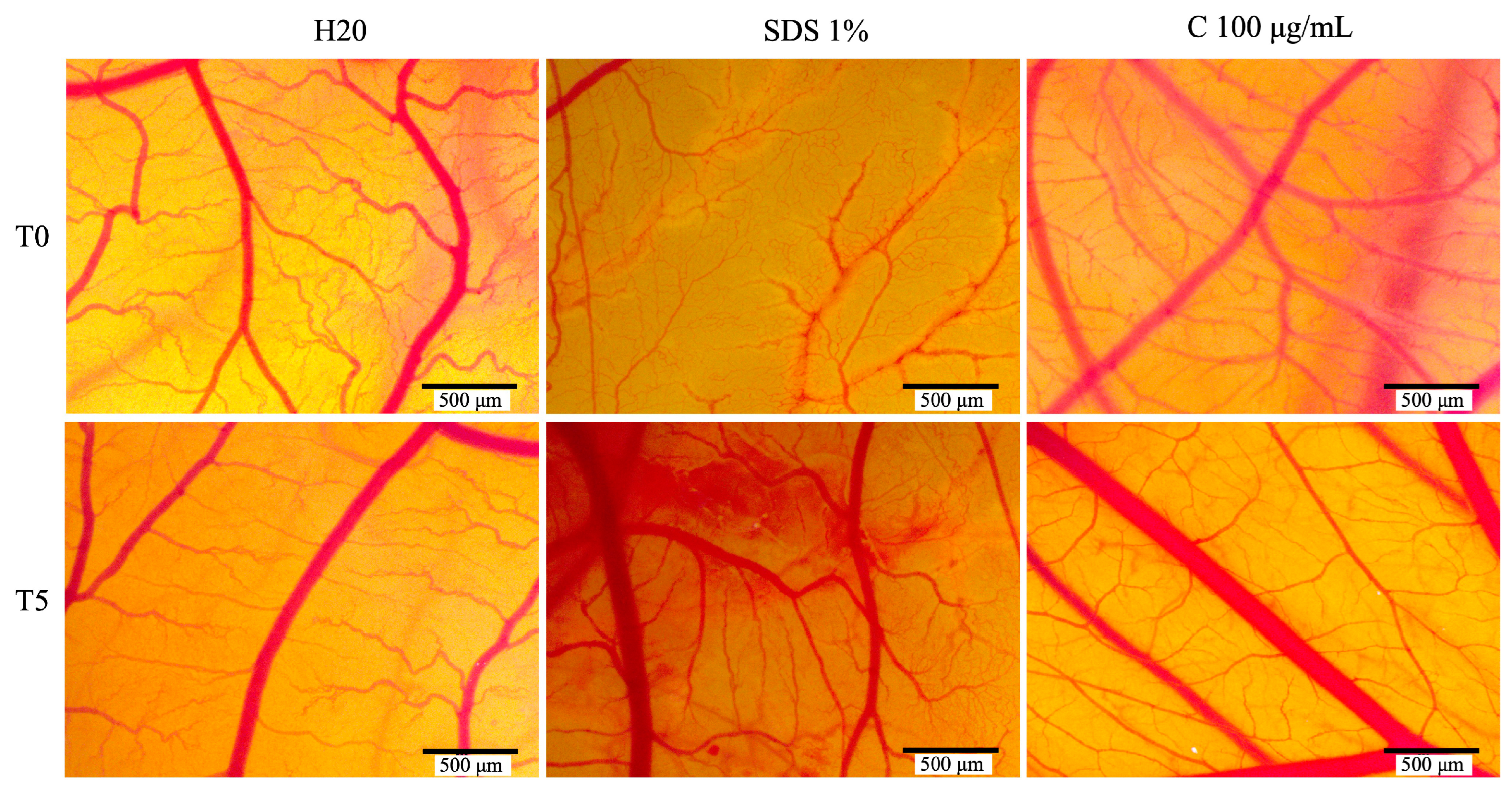 Antioxidants 14 00810 g008