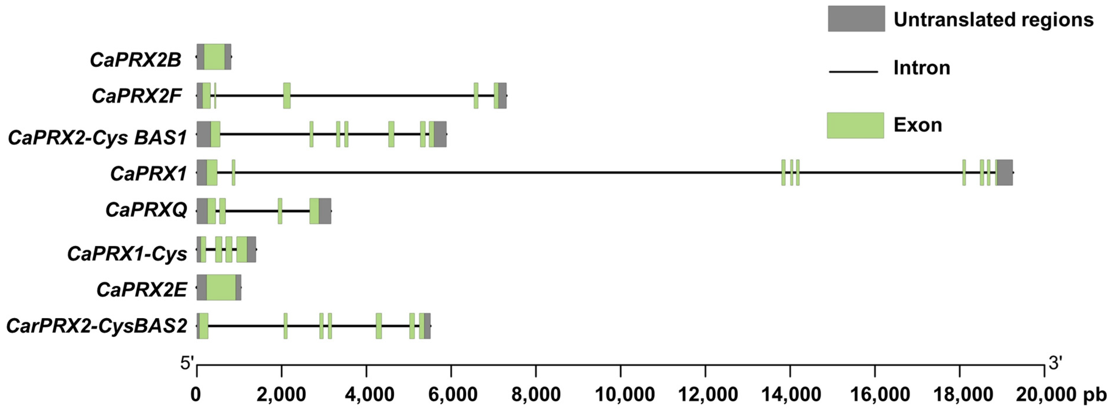 Antioxidants 14 00817 g001