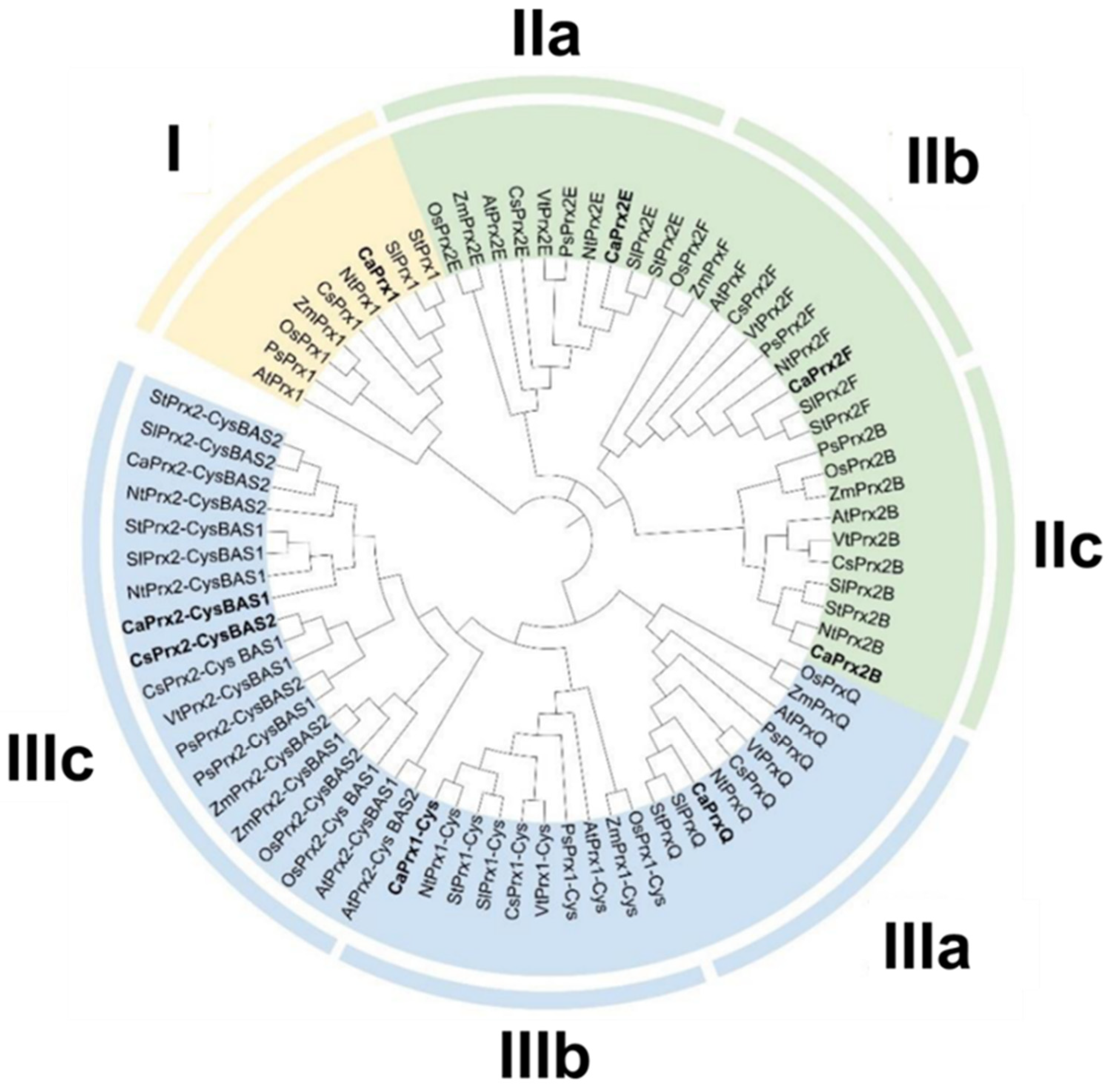 Antioxidants 14 00817 g004