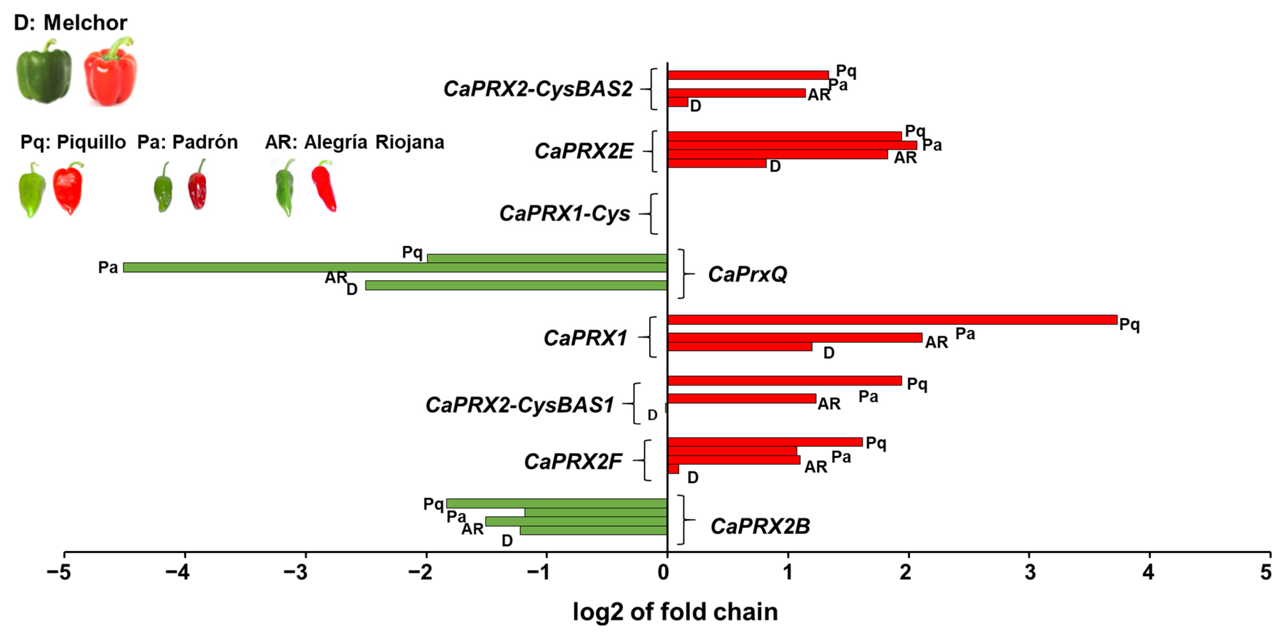 Antioxidants 14 00817 g007