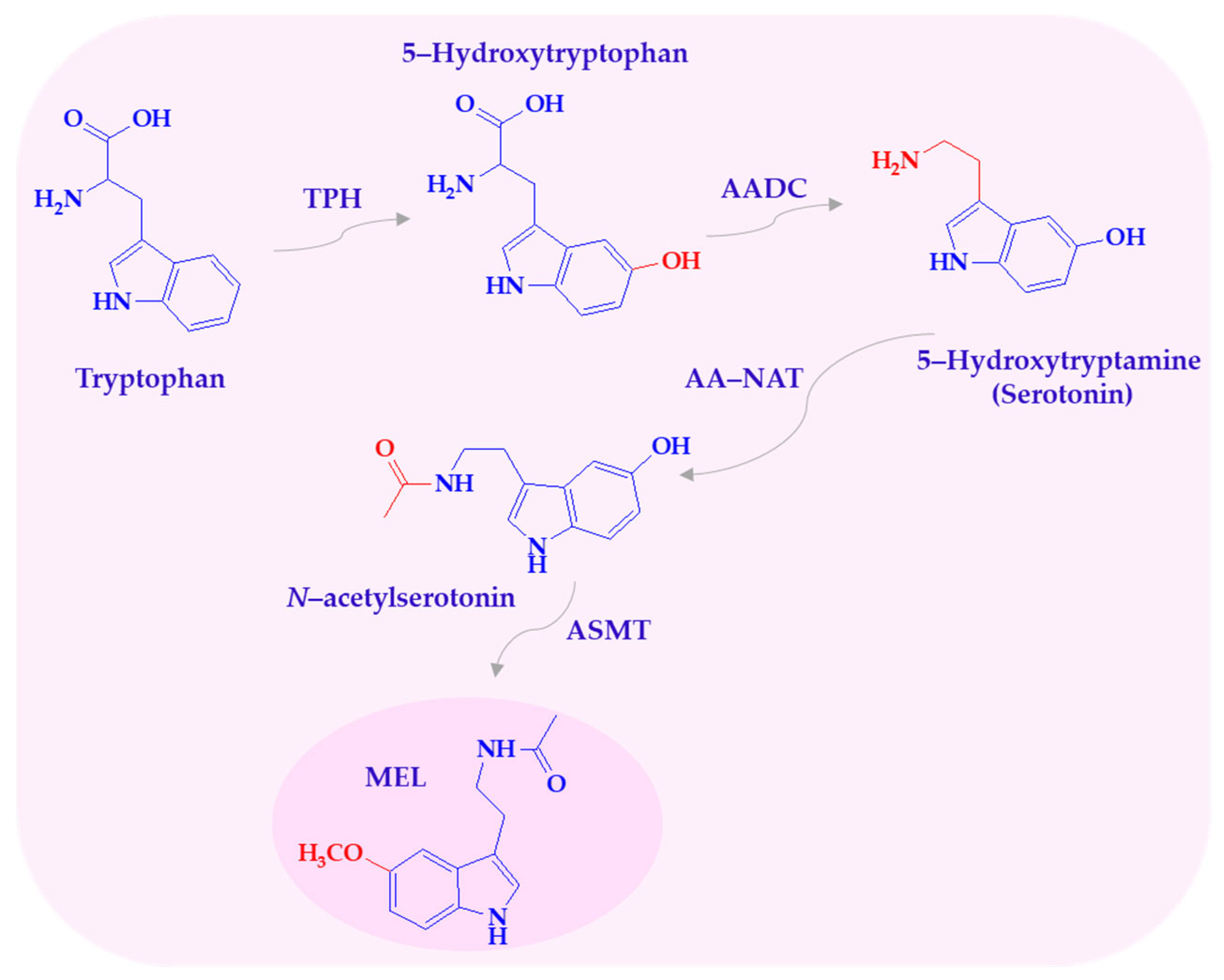 Antioxidants 14 00819 sch001