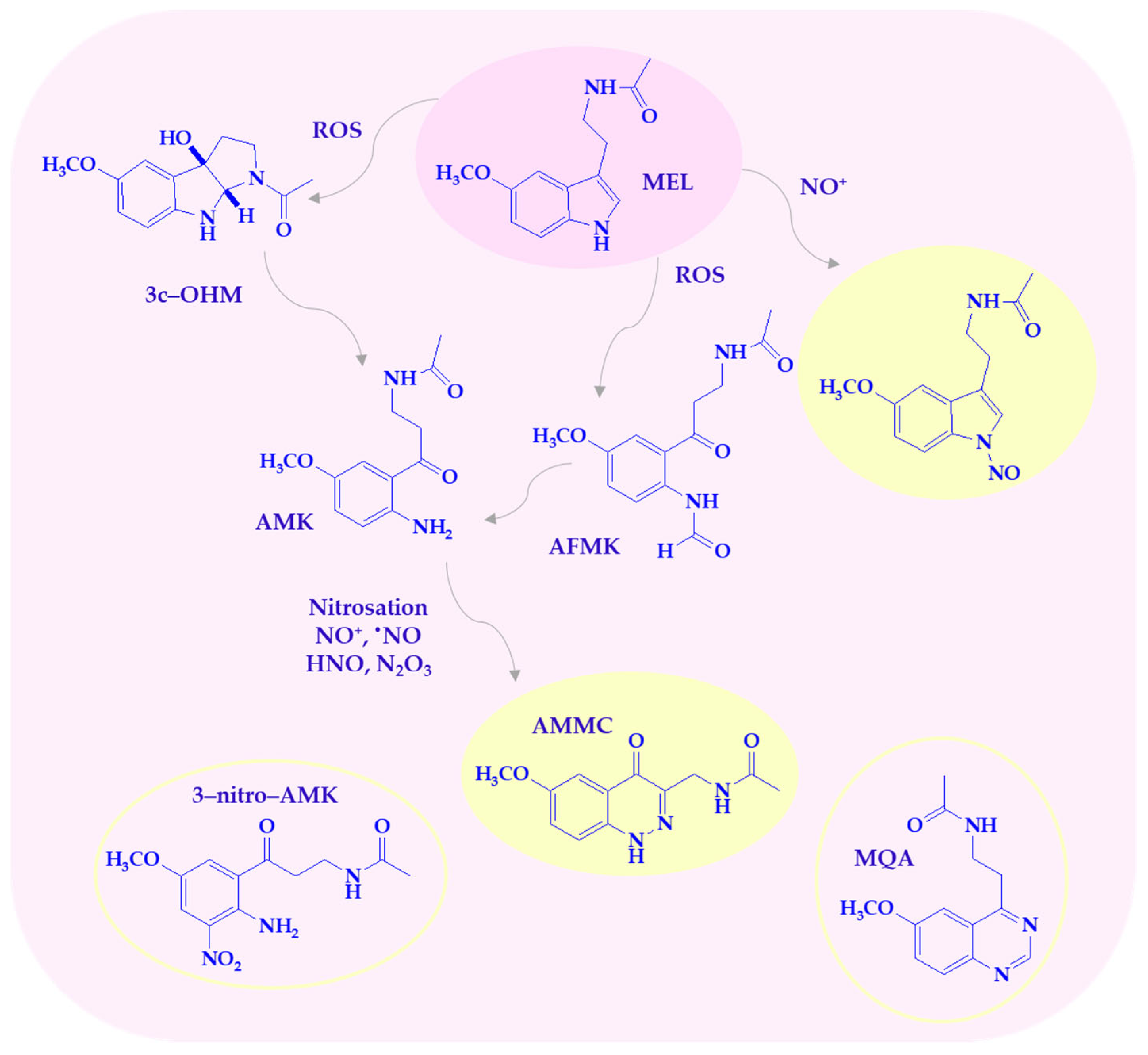 Antioxidants 14 00819 sch003