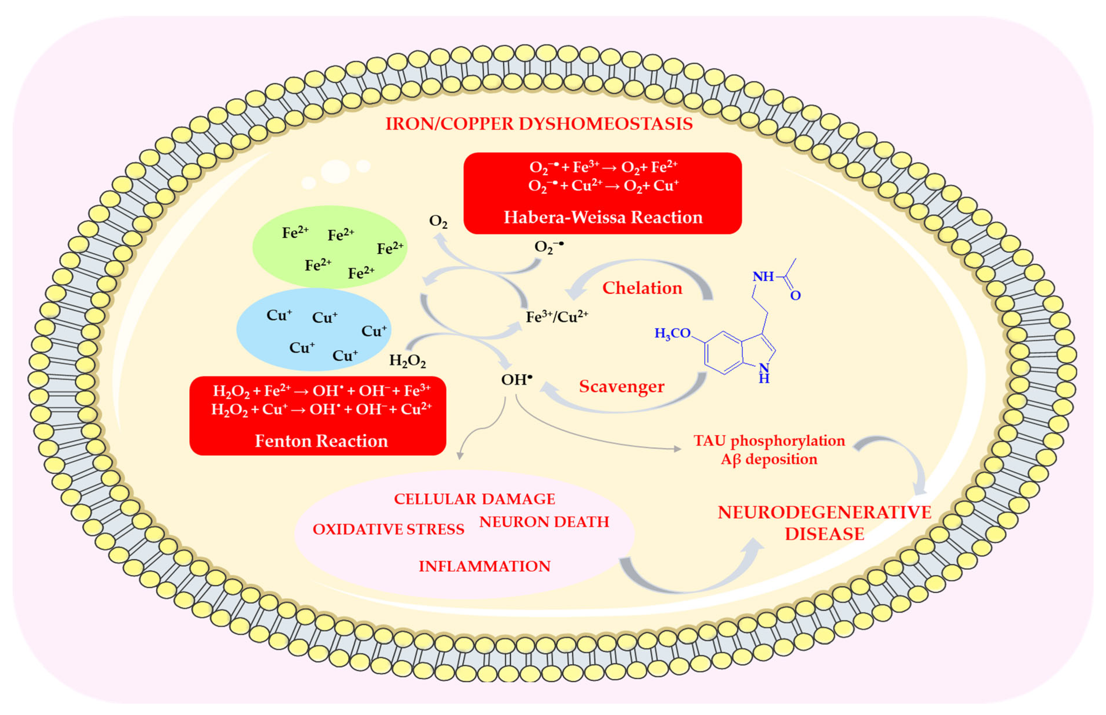 Antioxidants 14 00819 sch006