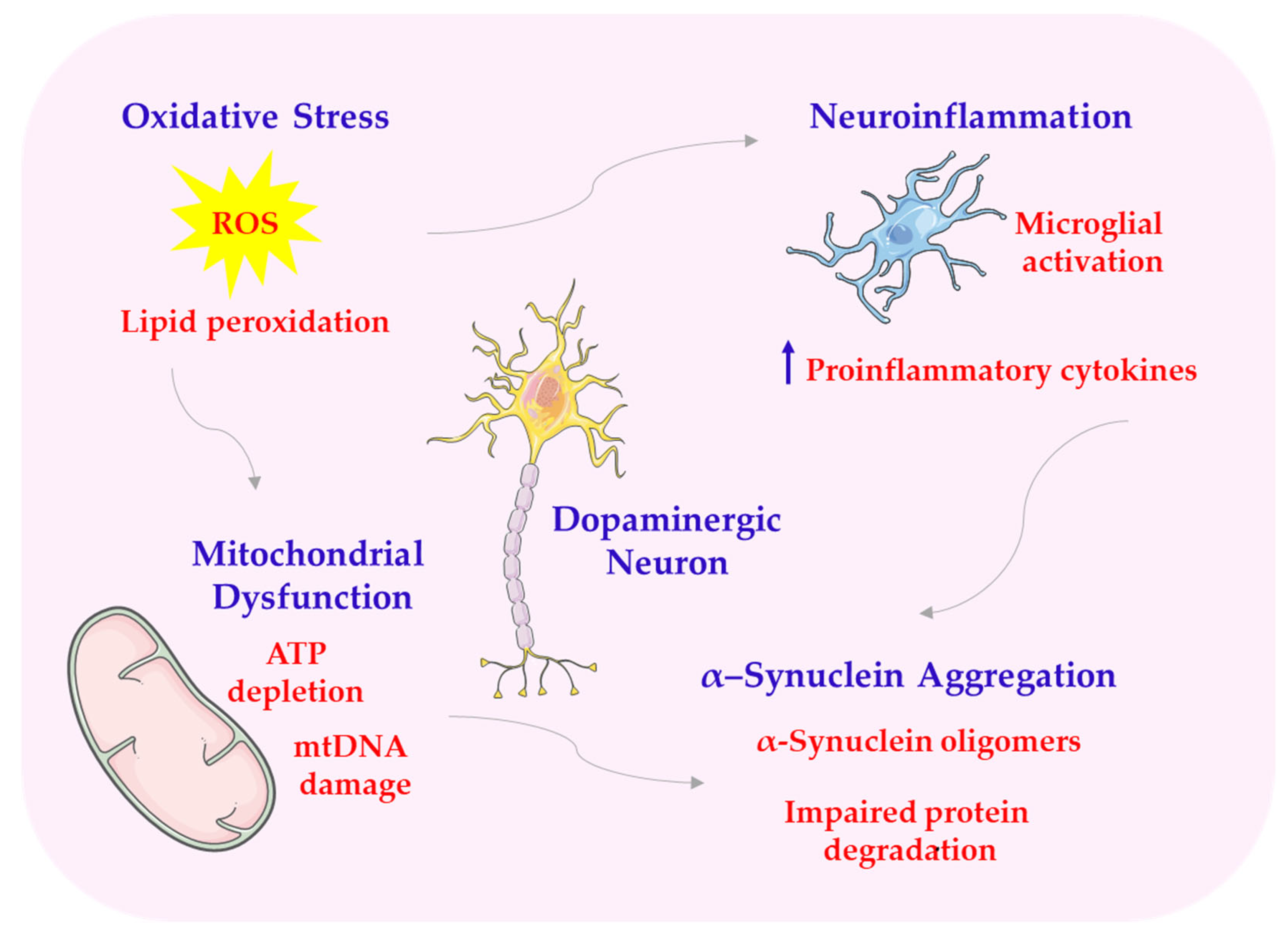 Antioxidants 14 00819 sch008