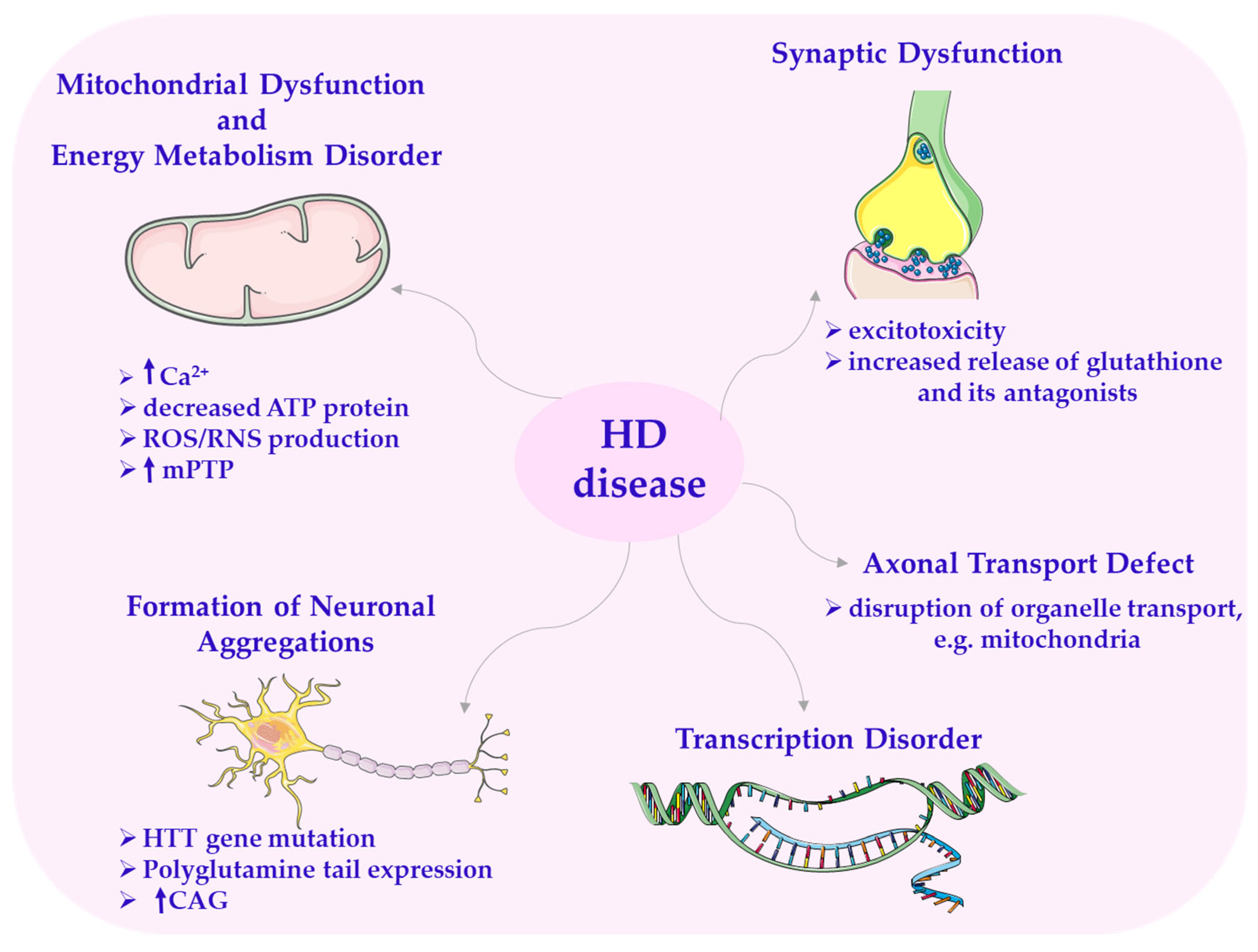 Antioxidants 14 00819 sch009