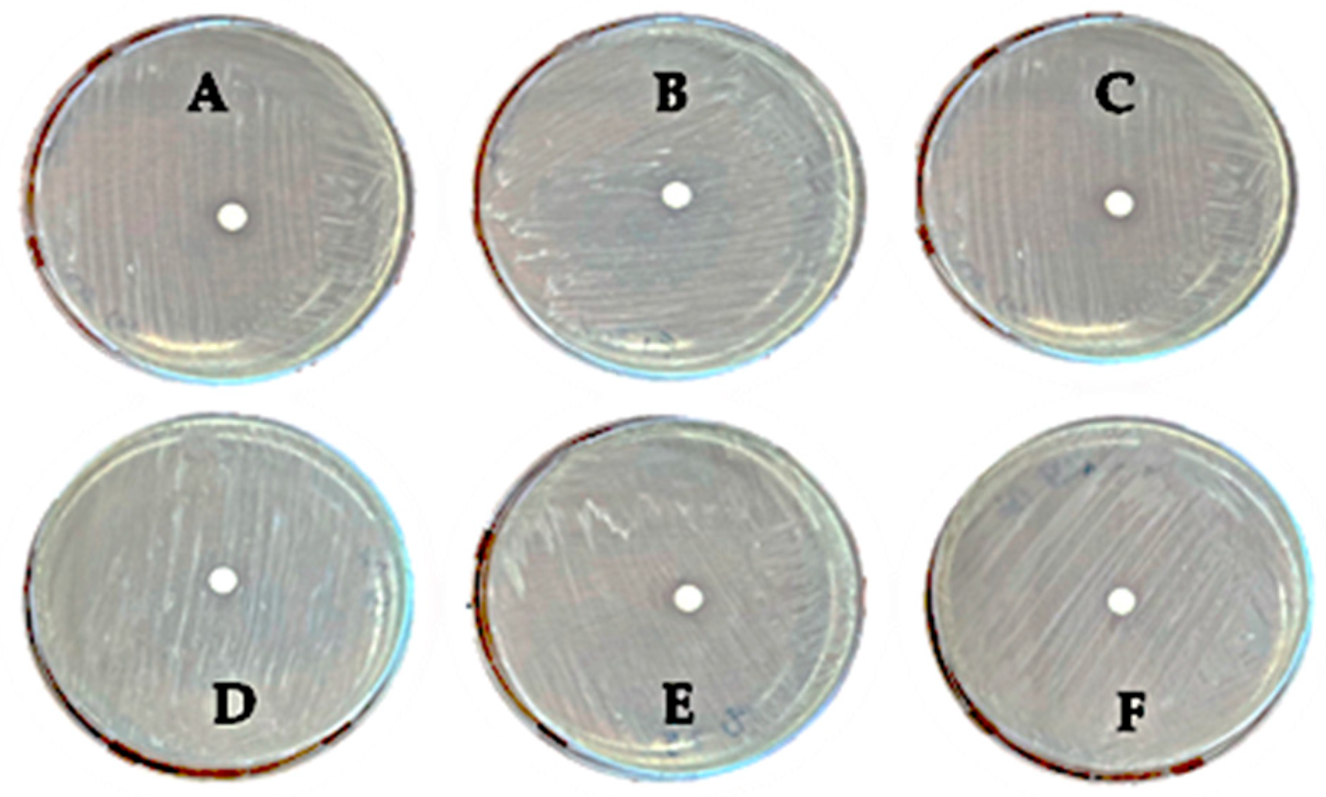 Antioxidants 14 00821 g003