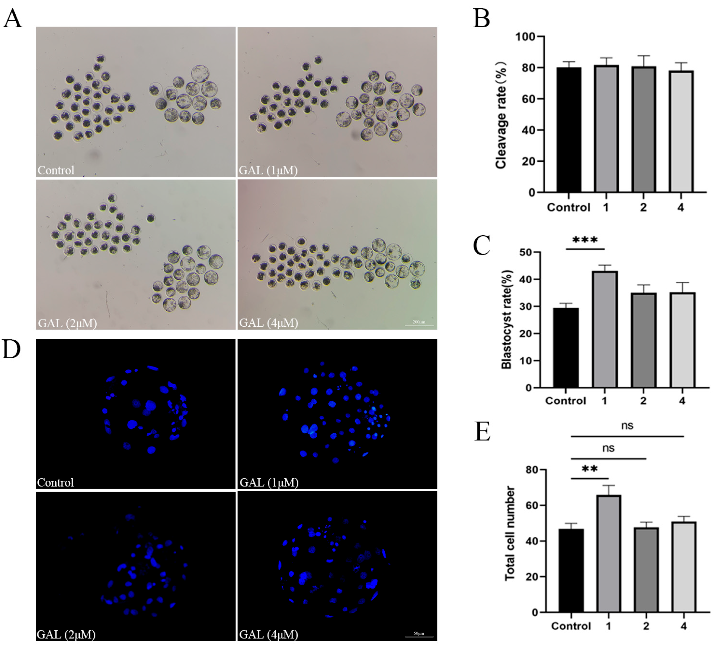 Antioxidants 14 00822 g001