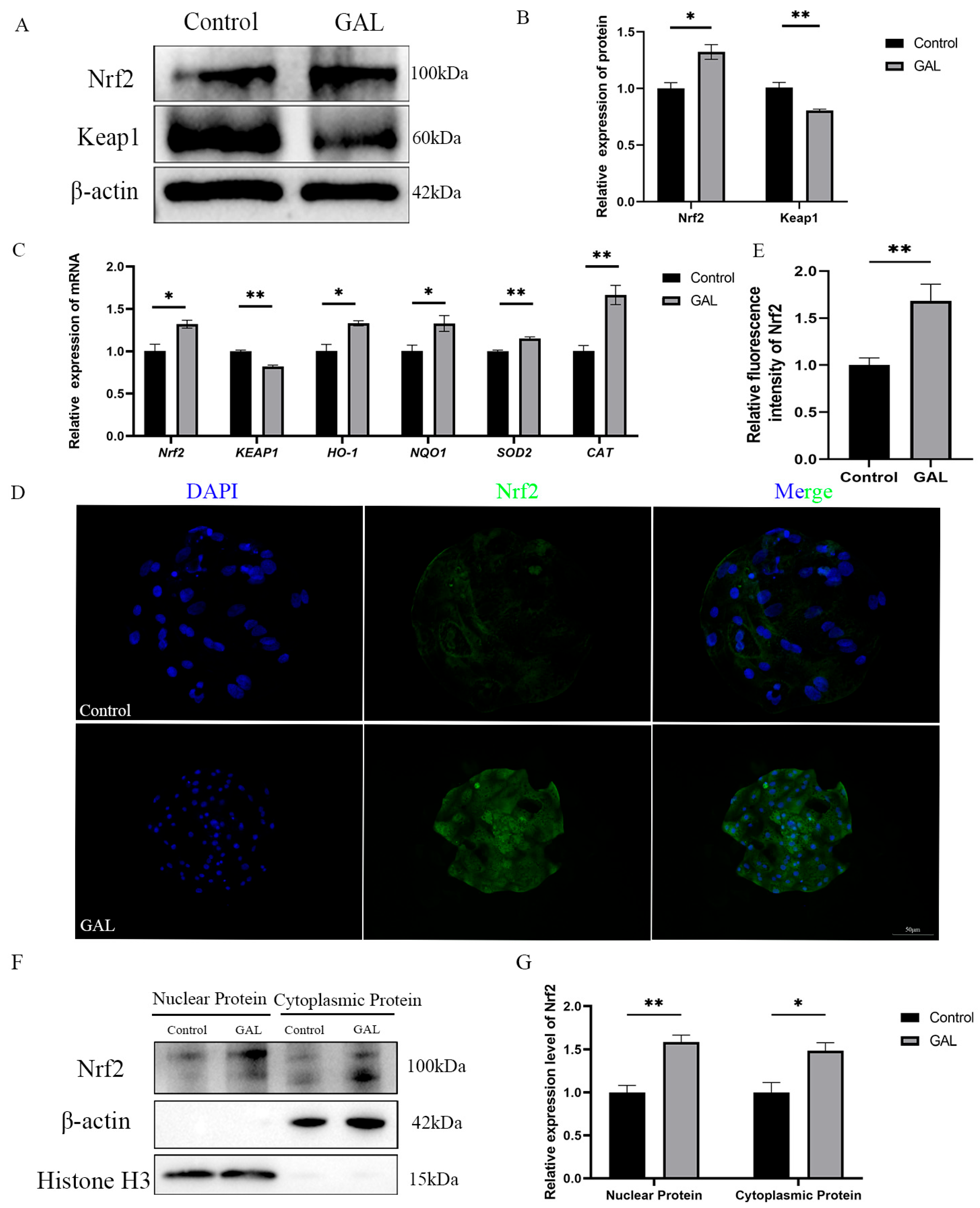 Antioxidants 14 00822 g006