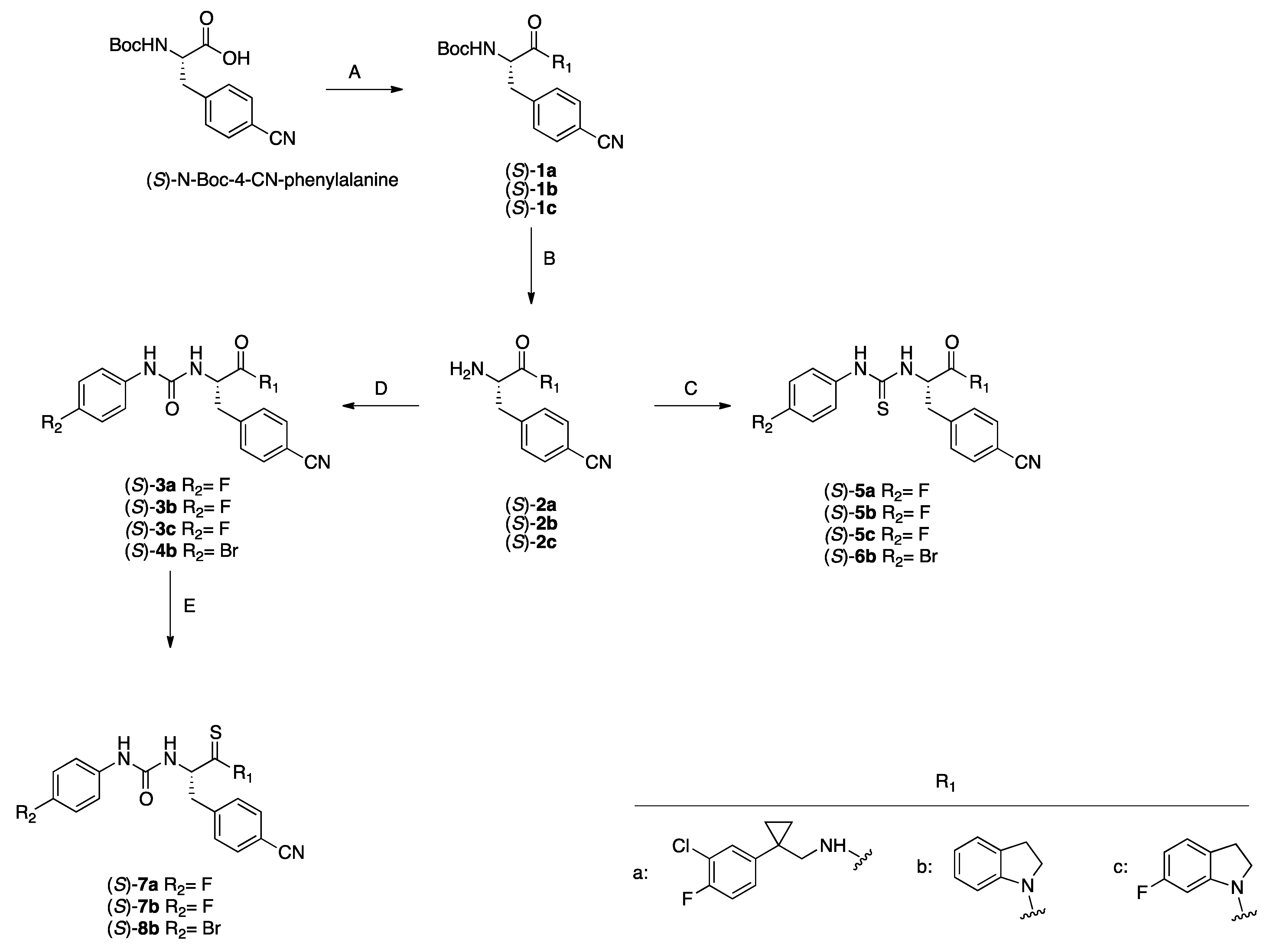 Antioxidants 14 00827 sch001