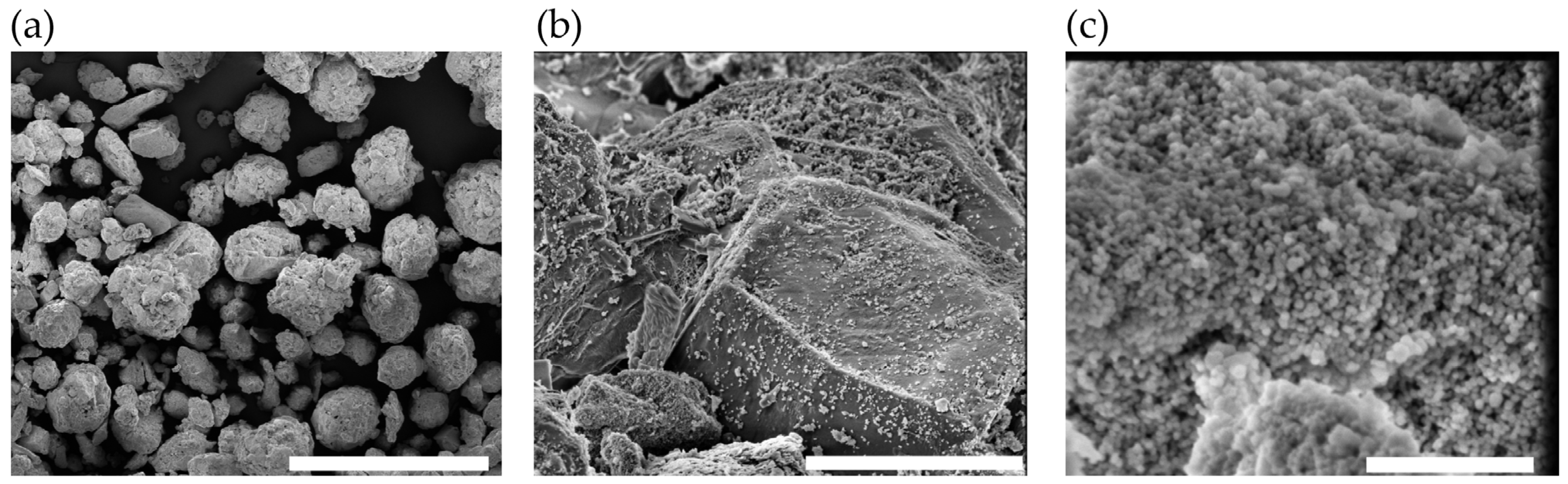 Antioxidants 14 00829 g002