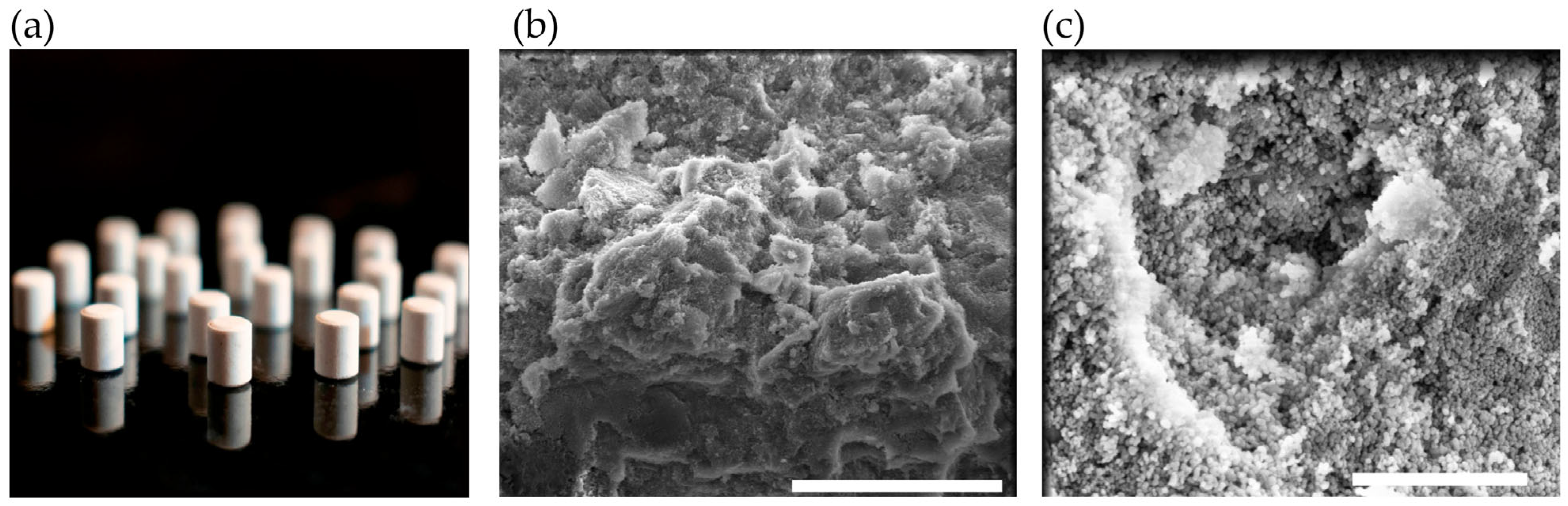 Antioxidants 14 00829 g003