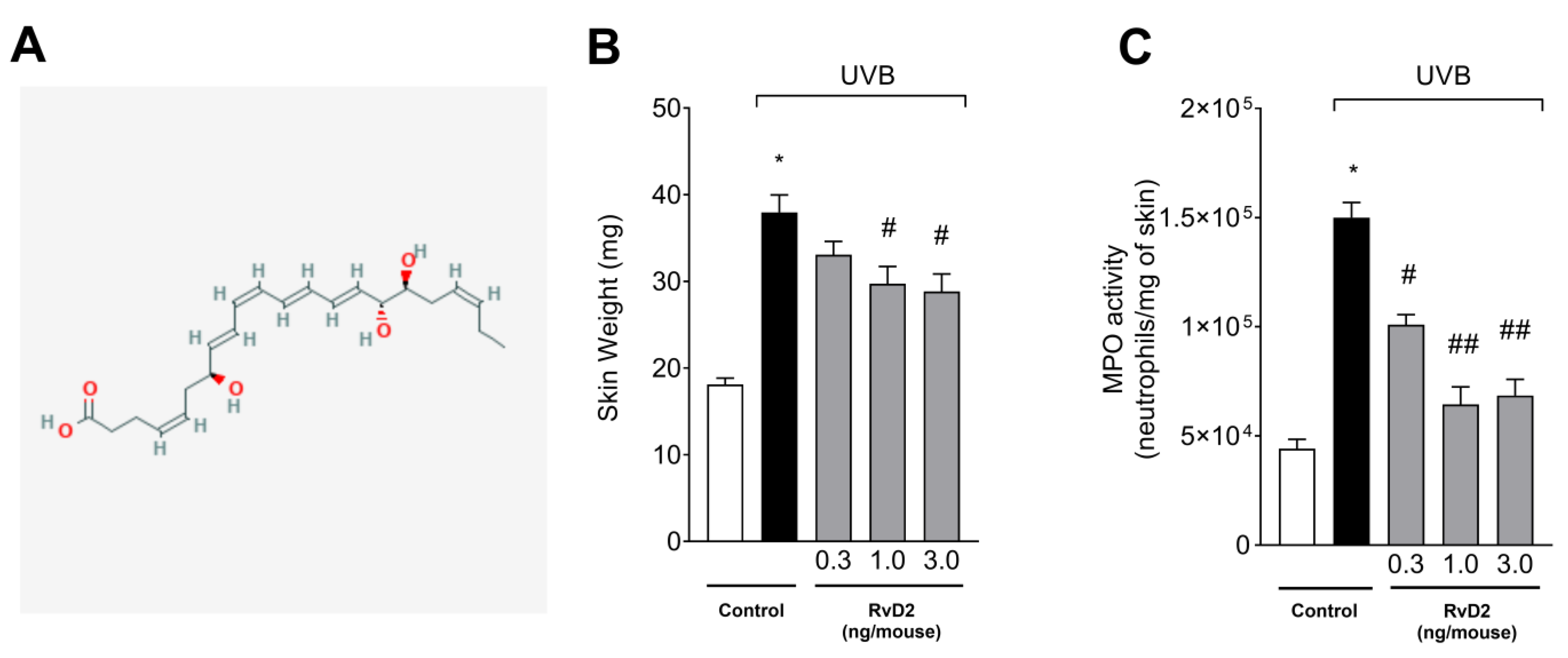 Antioxidants 14 00830 g001 Antioxidants 14 00830 g001