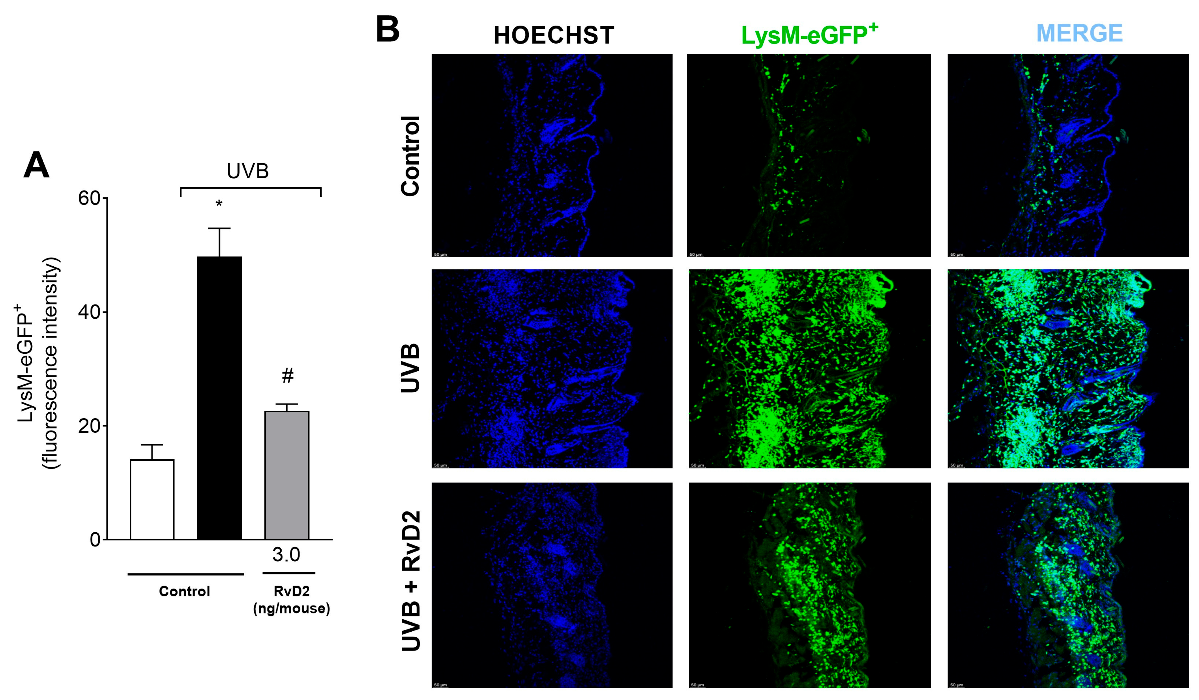 Antioxidants 14 00830 g003 Antioxidants 14 00830 g003