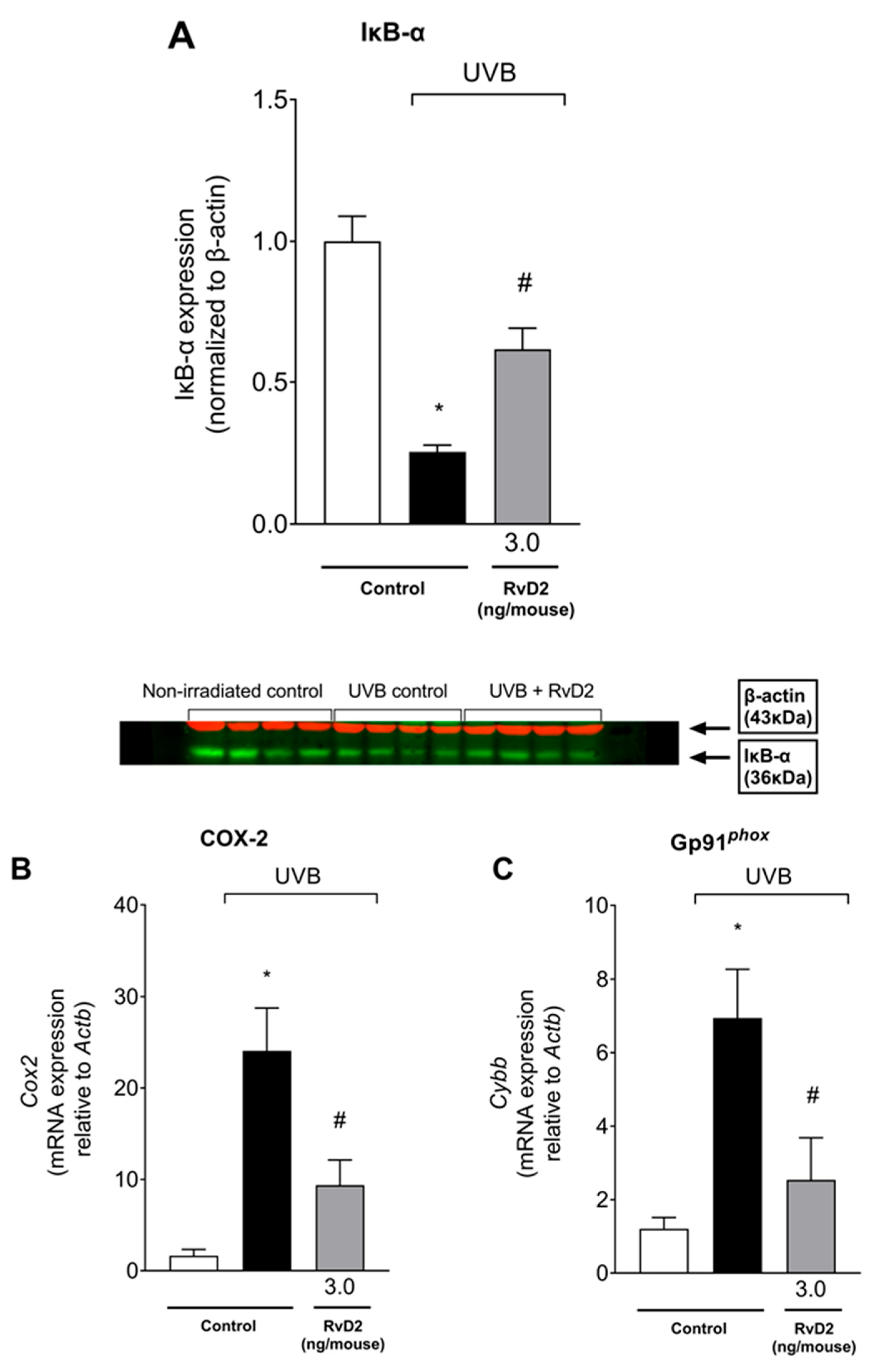 Antioxidants 14 00830 g009 Antioxidants 14 00830 g009