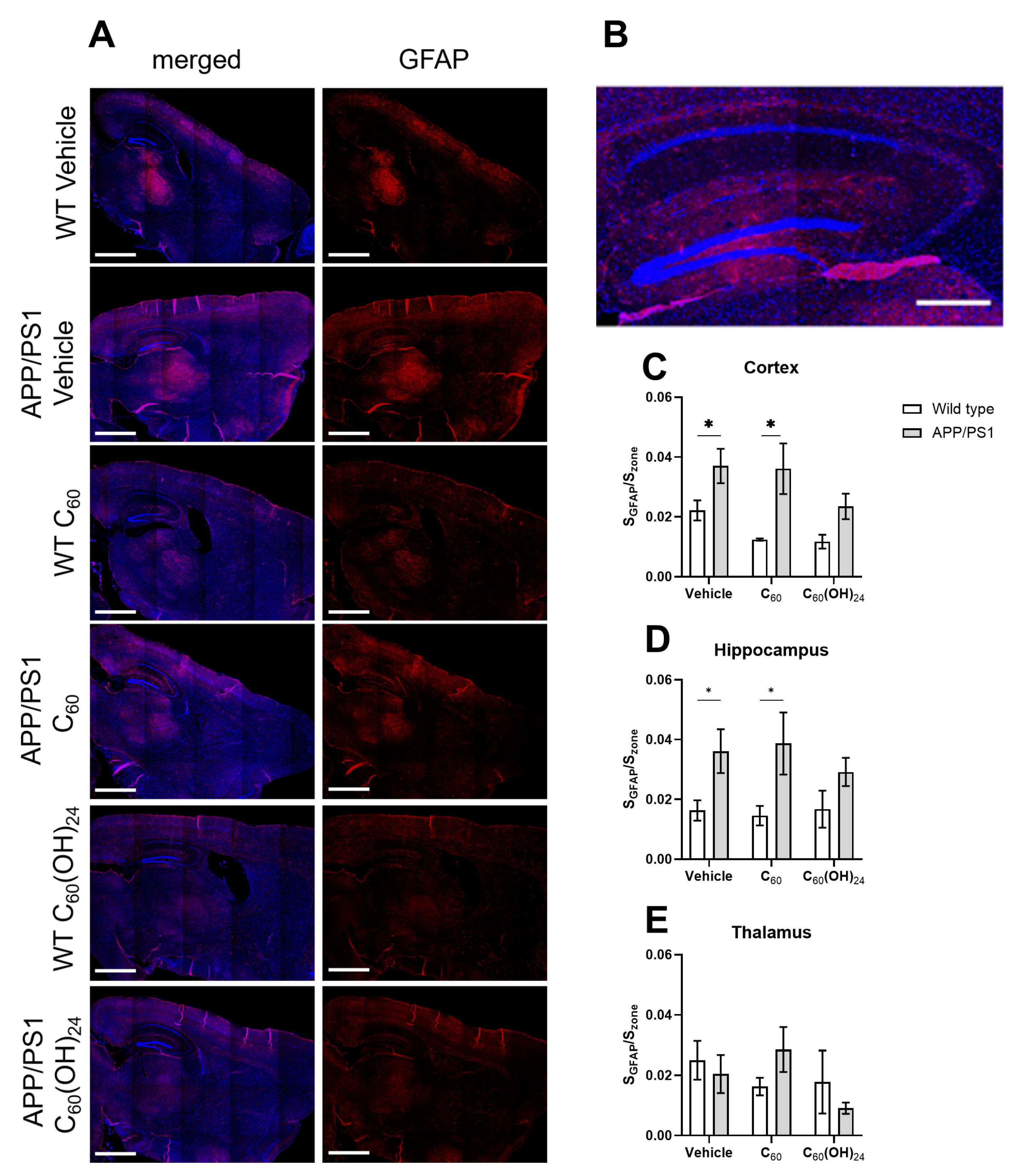 Antioxidants 14 00834 g006