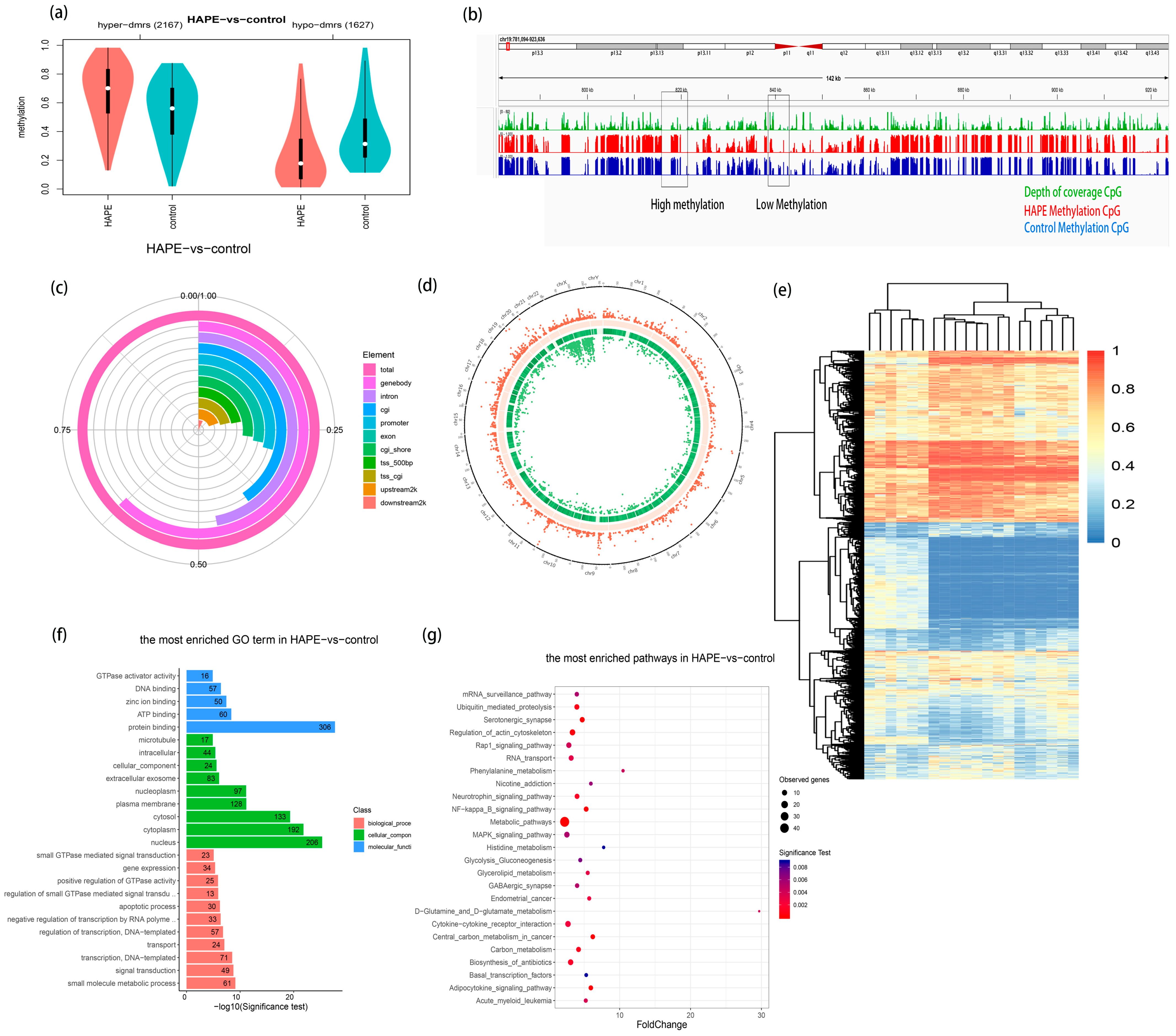 Antioxidants 14 00835 g002 Antioxidants 14 00835 g002