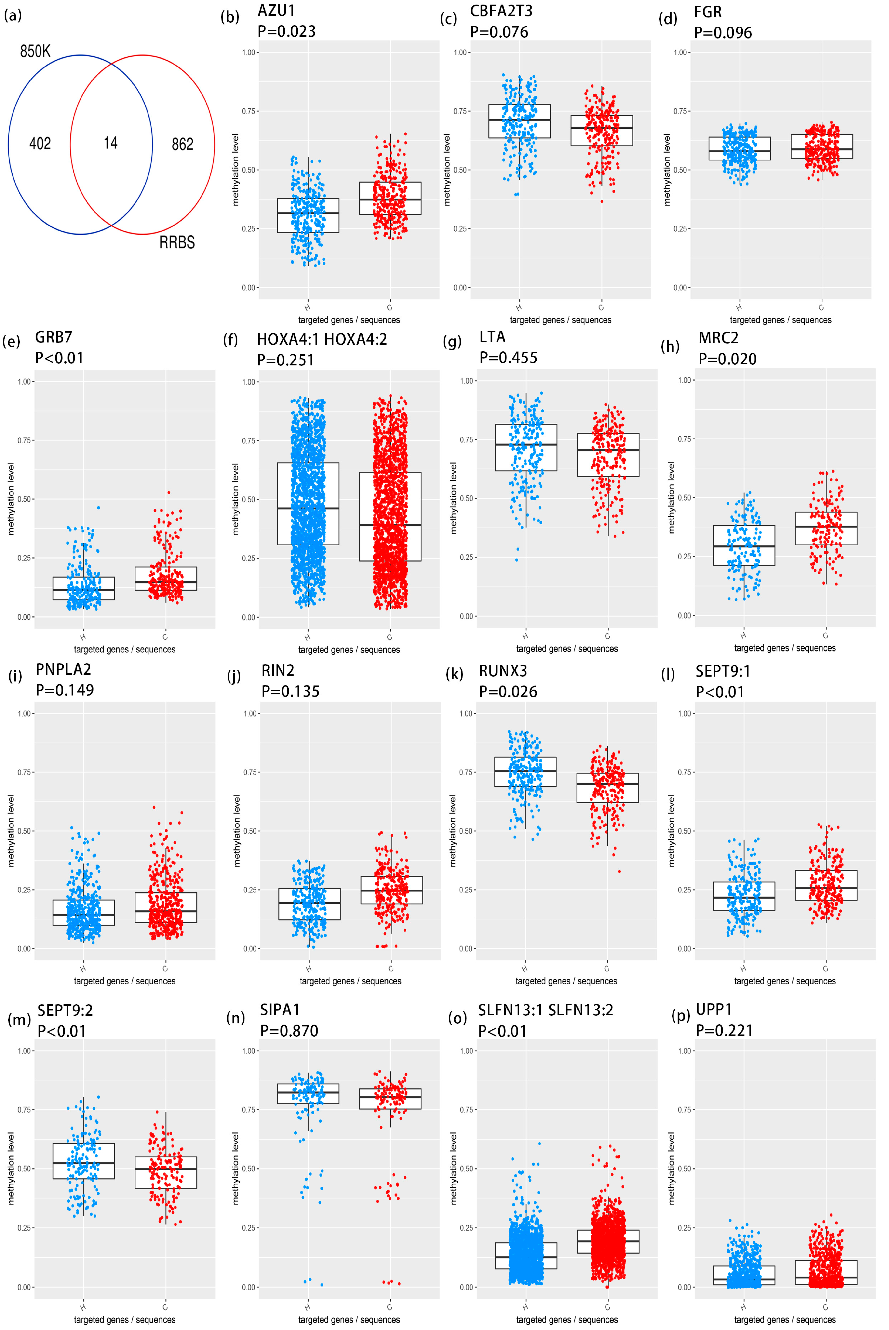 Antioxidants 14 00835 g004 Antioxidants 14 00835 g004