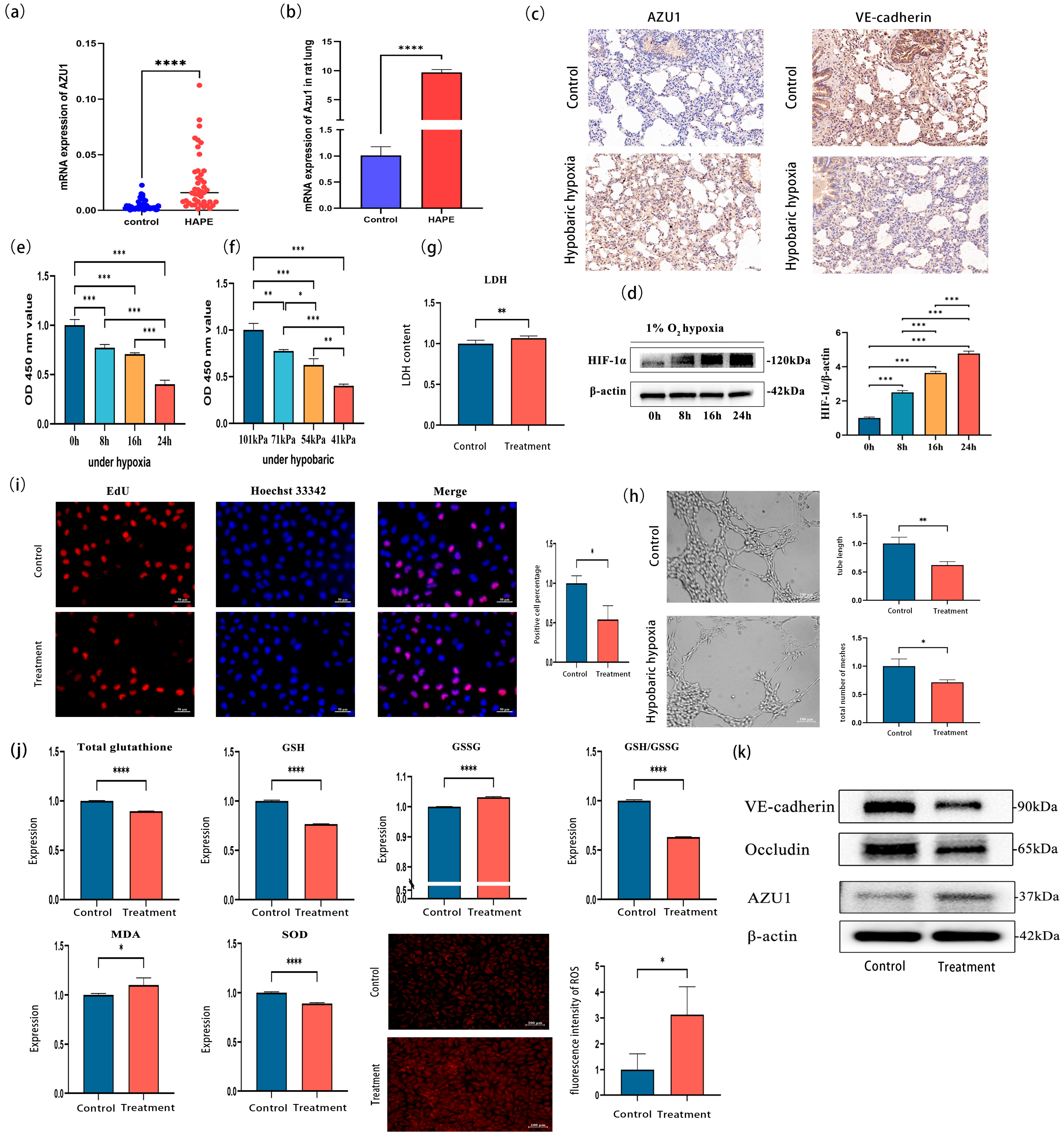 Antioxidants 14 00835 g005 Antioxidants 14 00835 g005
