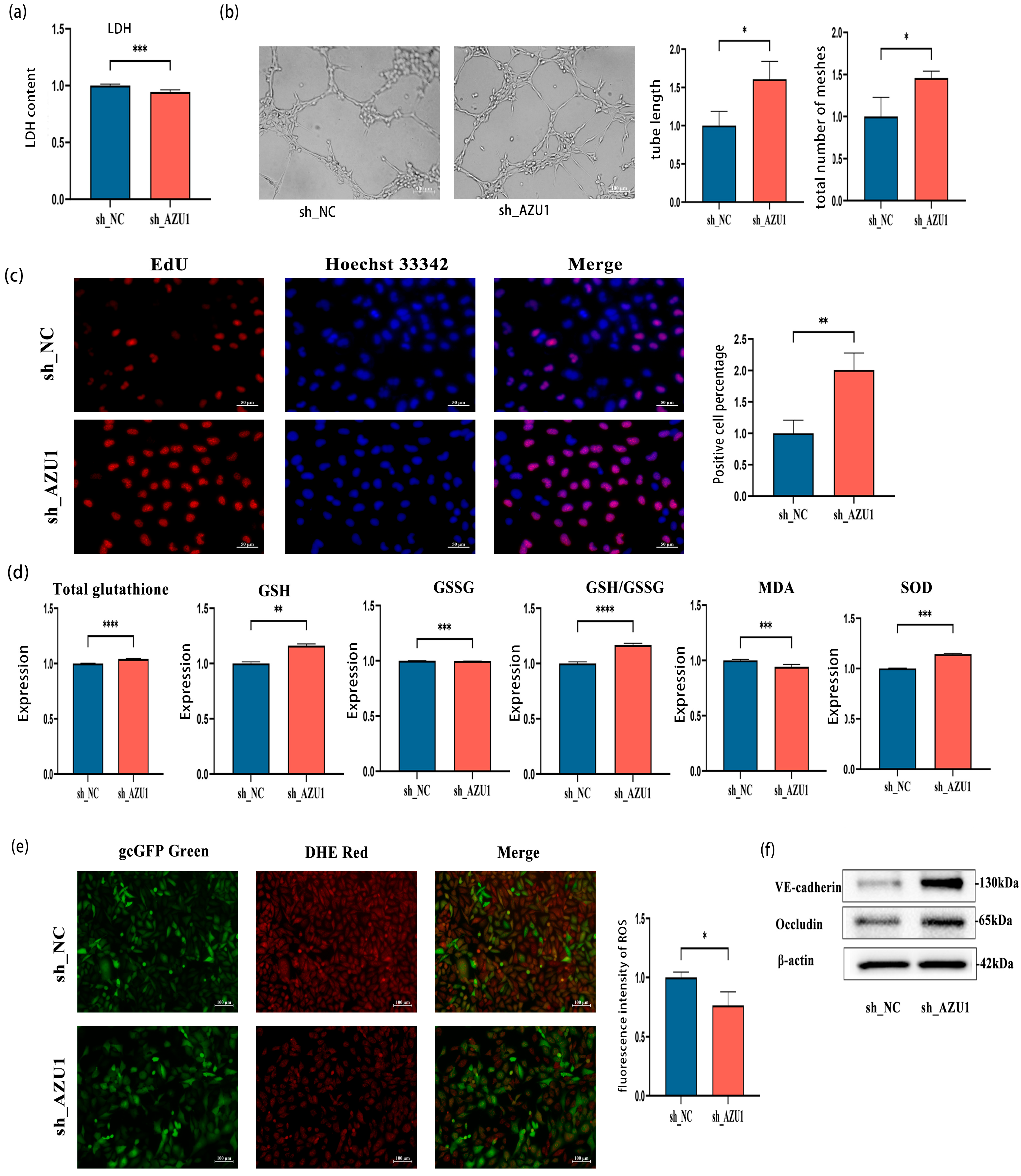 Antioxidants 14 00835 g006 Antioxidants 14 00835 g006