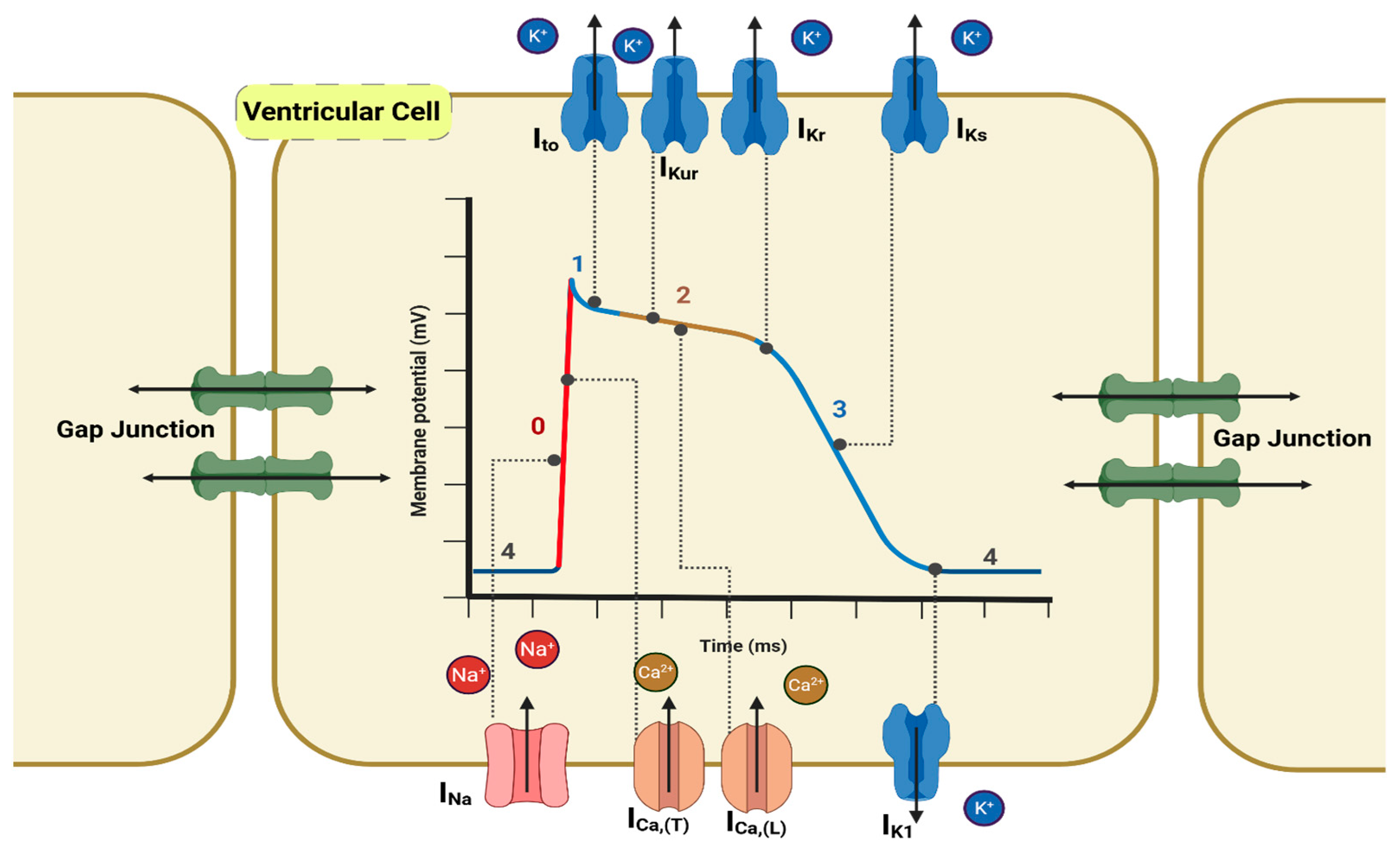 Antioxidants 14 00836 g001